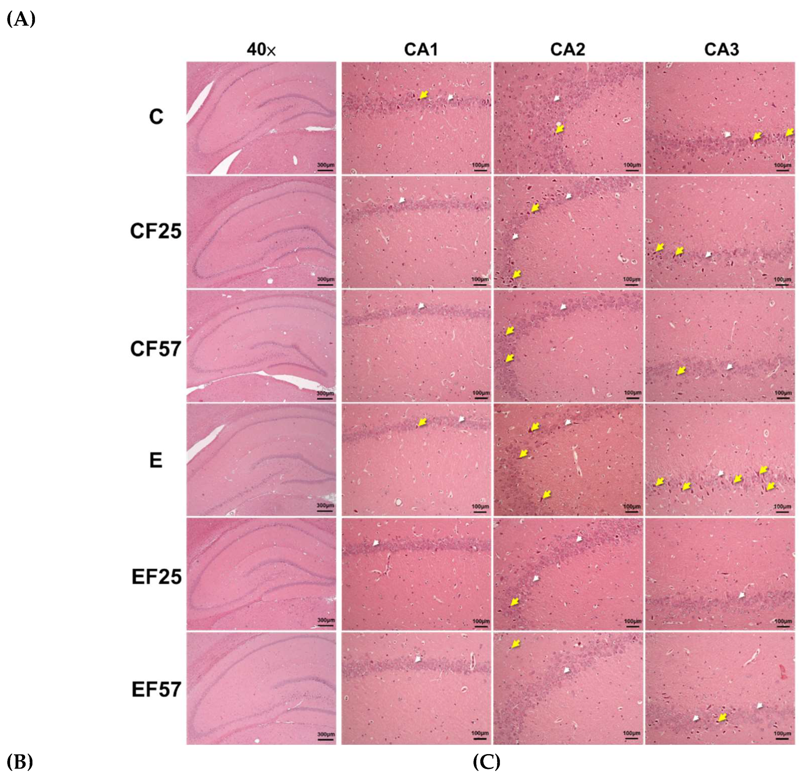 Preprints 160112 g004a