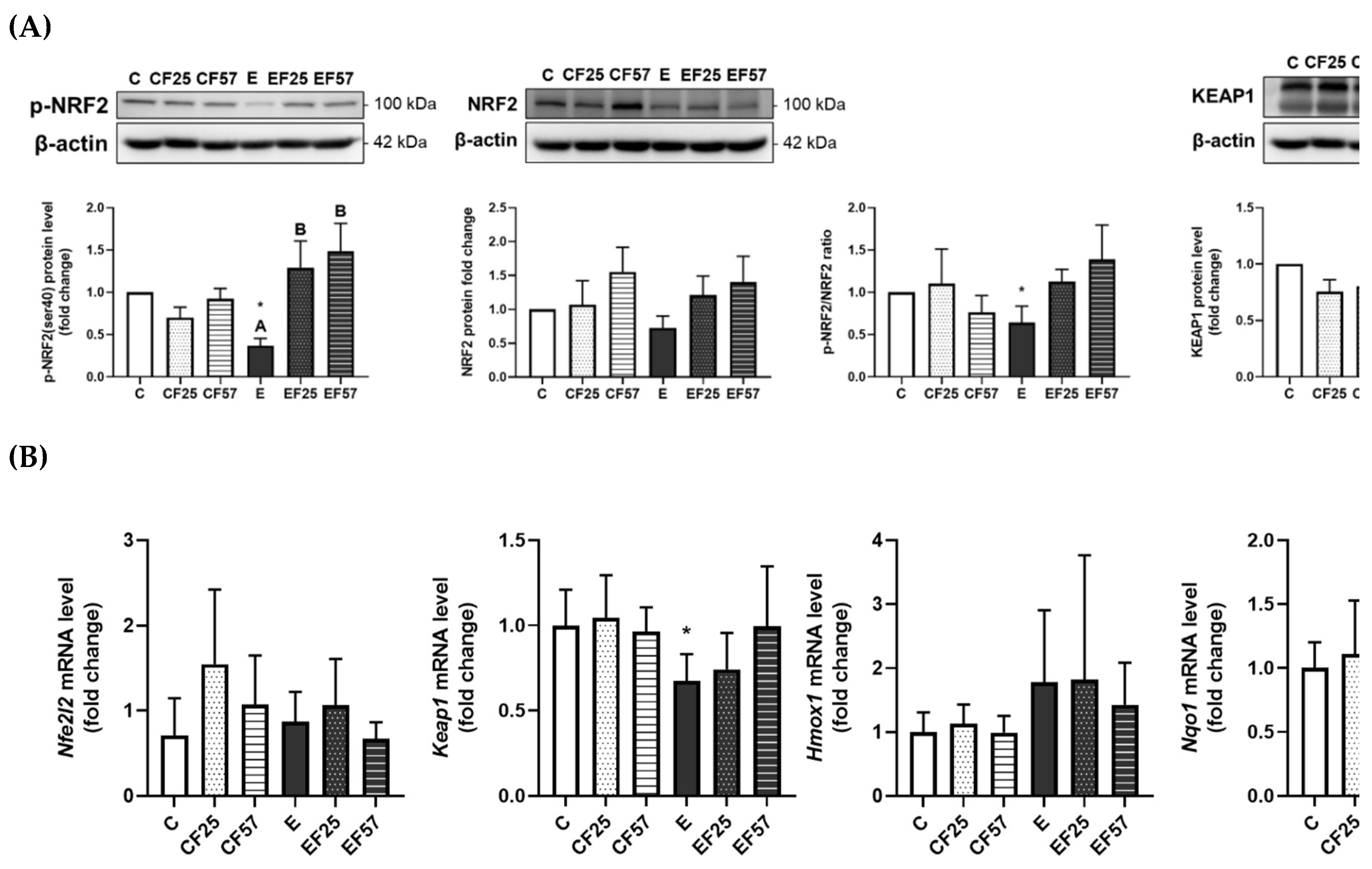 Preprints 160112 g005