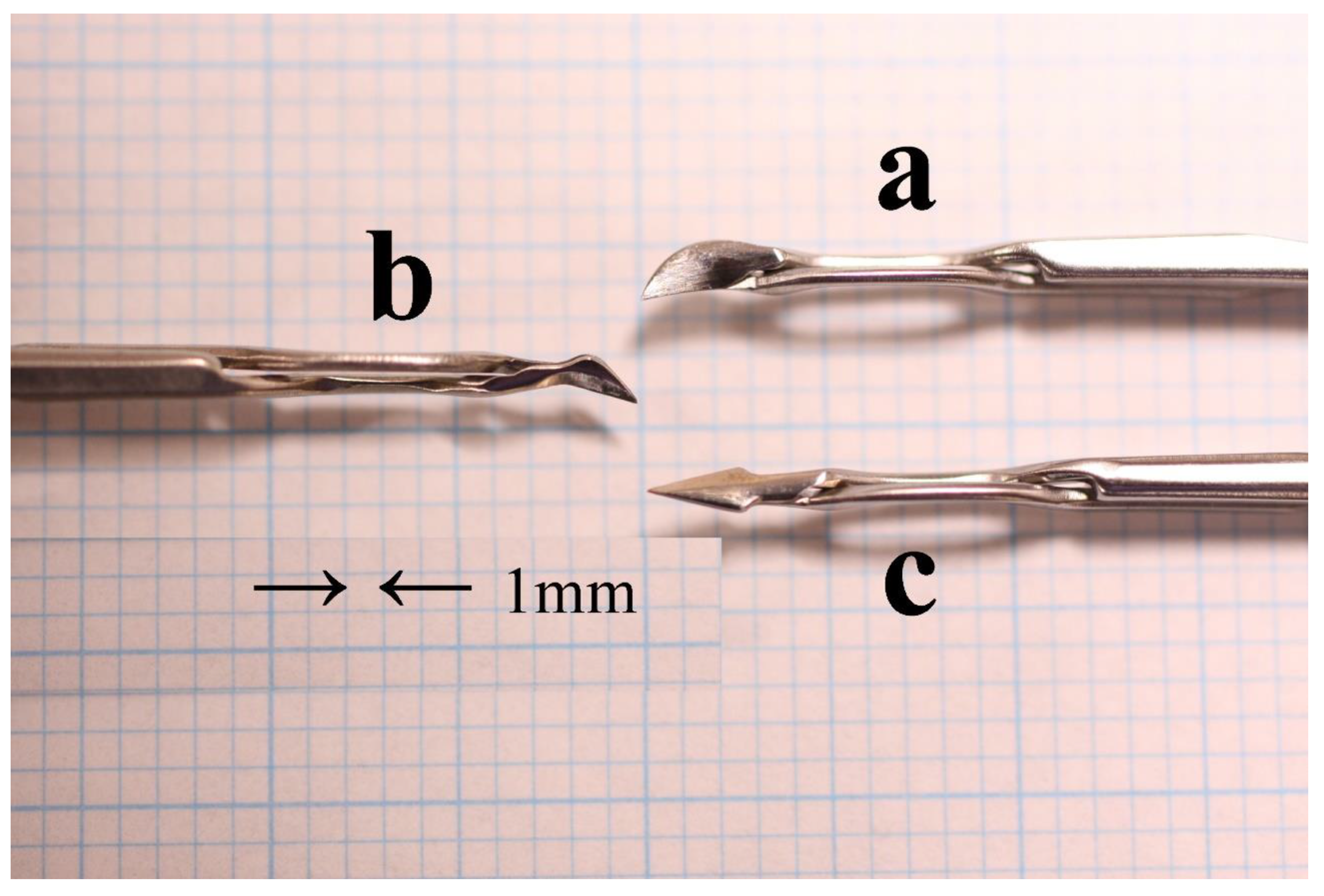 Preprints 189934 g001