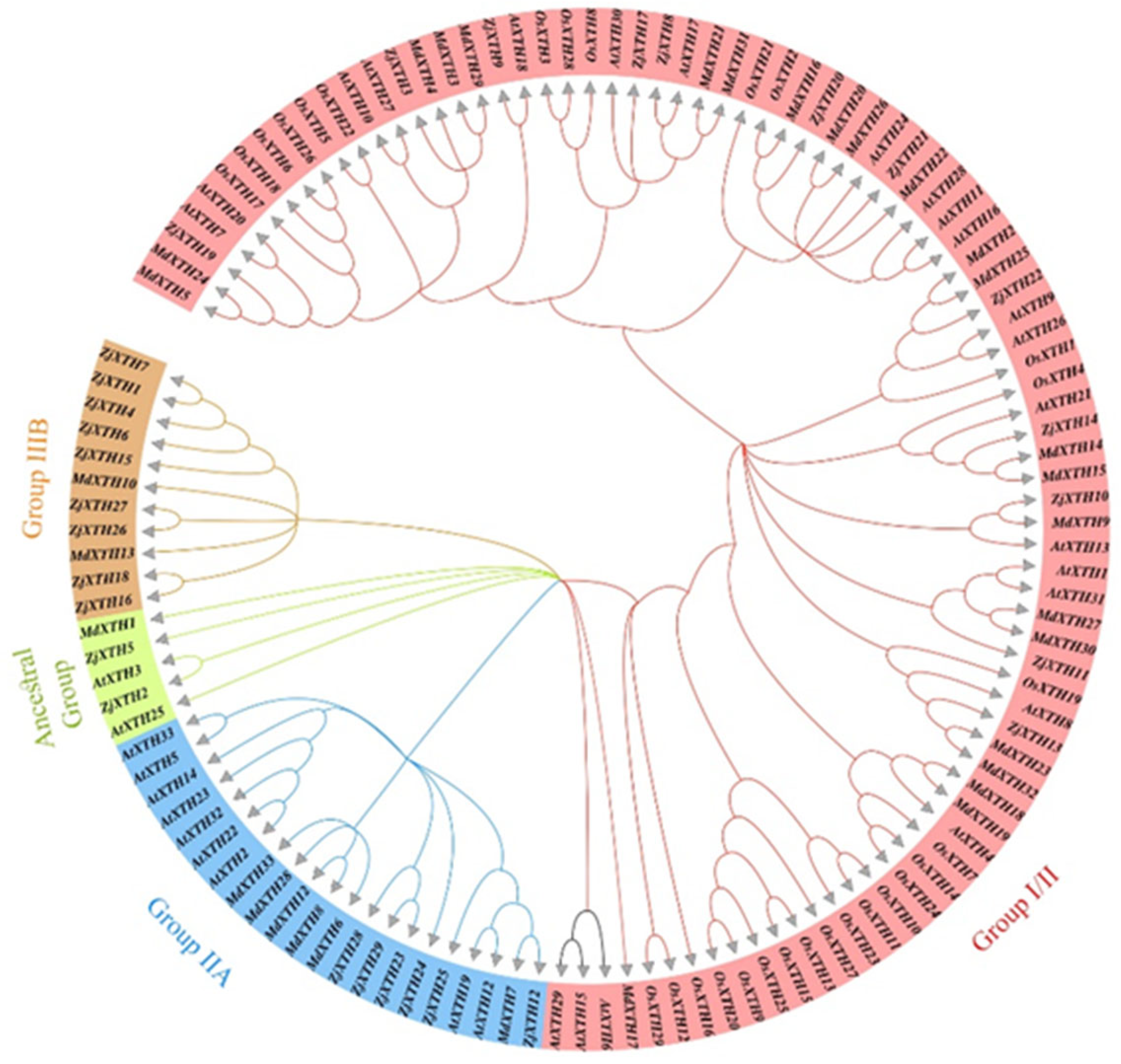 Preprints 139853 g001
