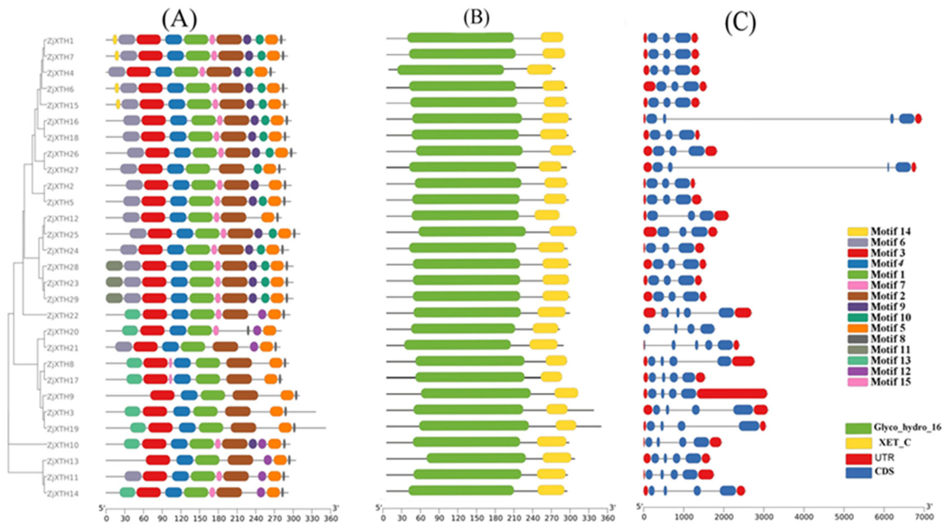 Preprints 139853 g002