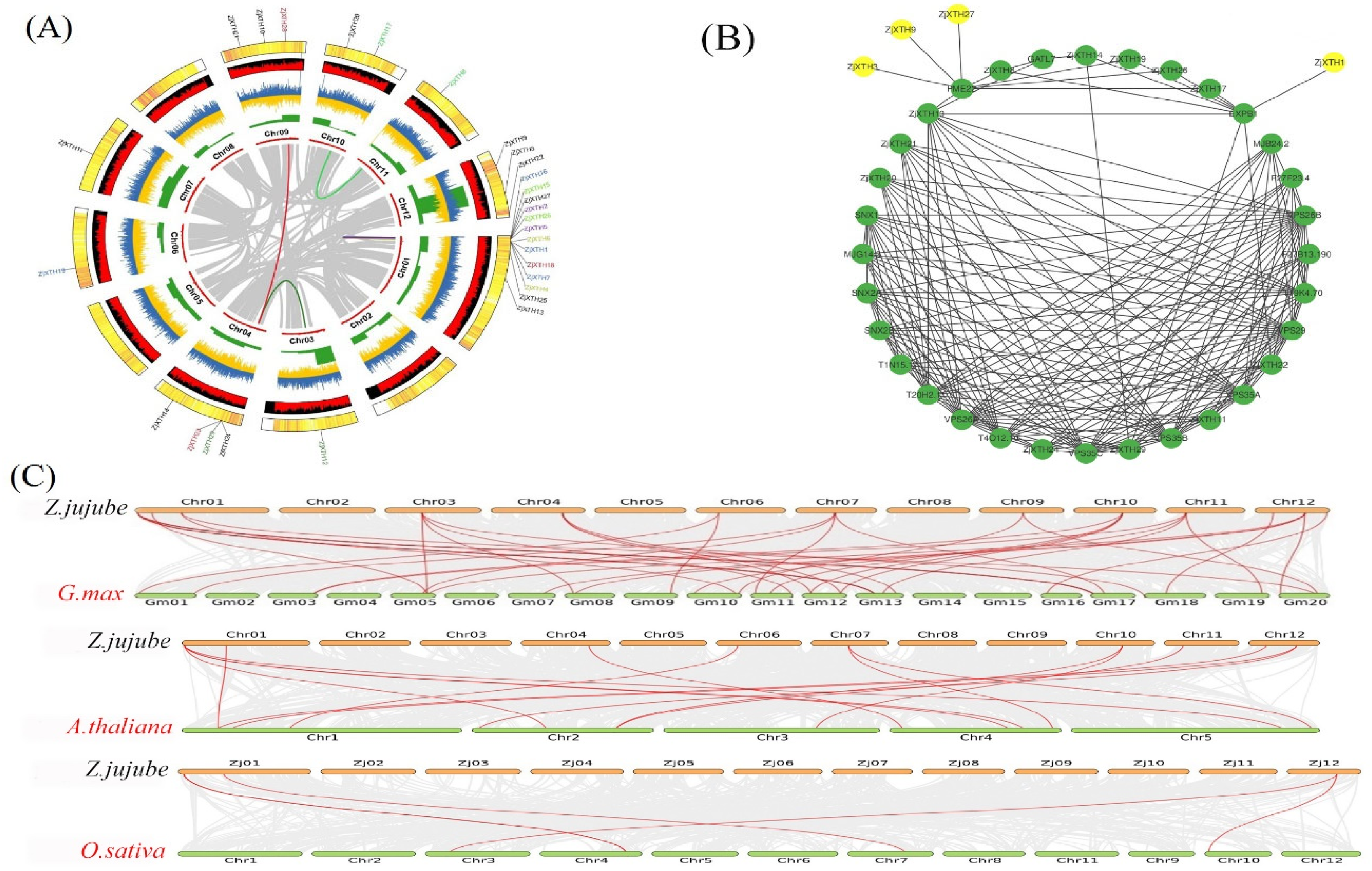 Preprints 139853 g003