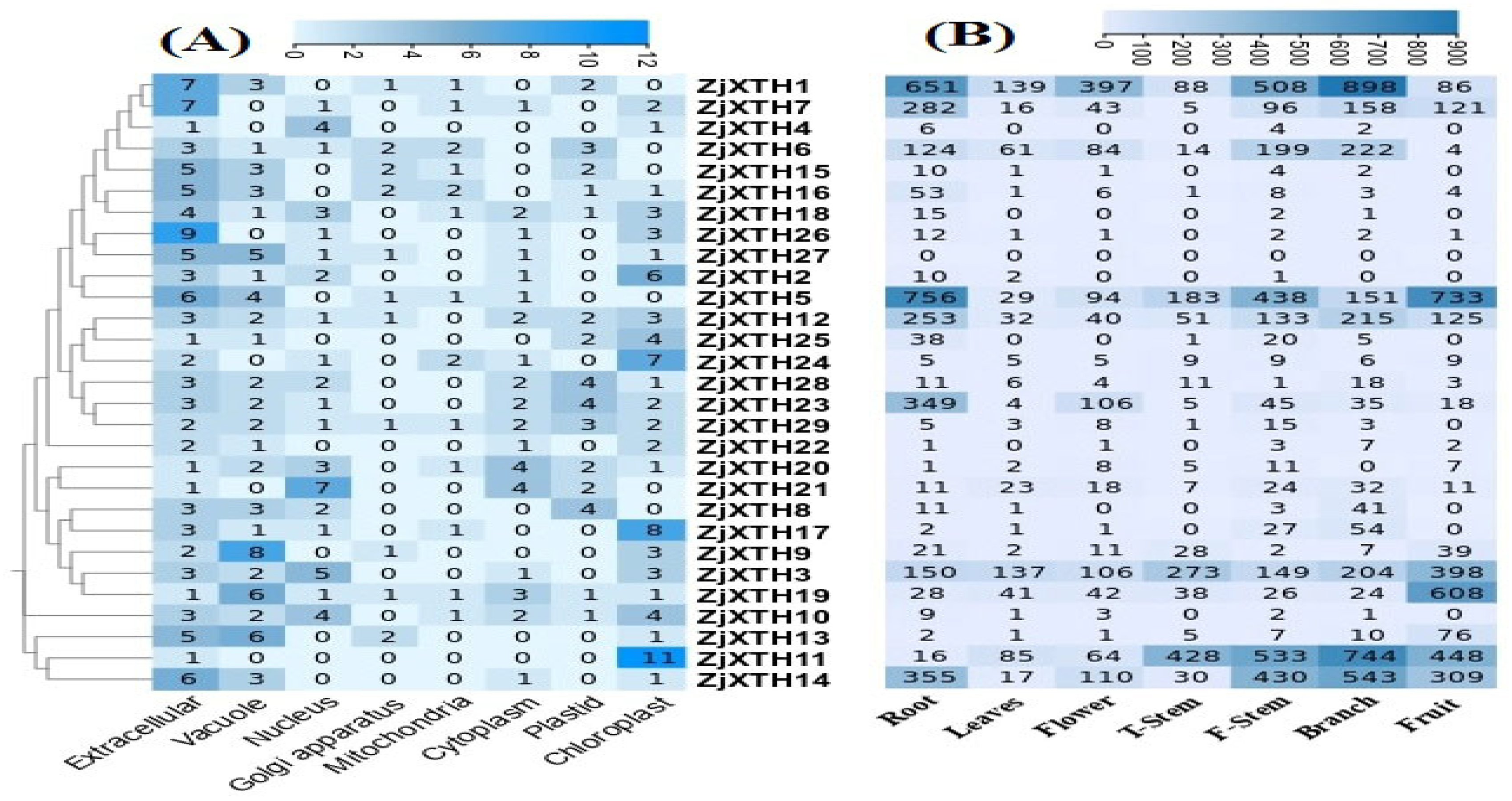 Preprints 139853 g006