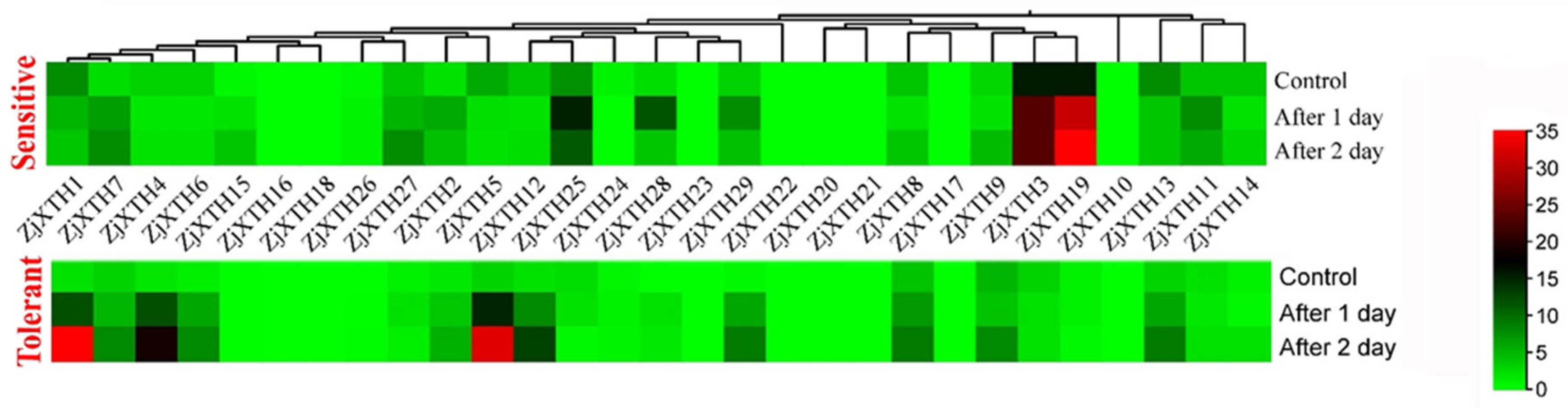 Preprints 139853 g007