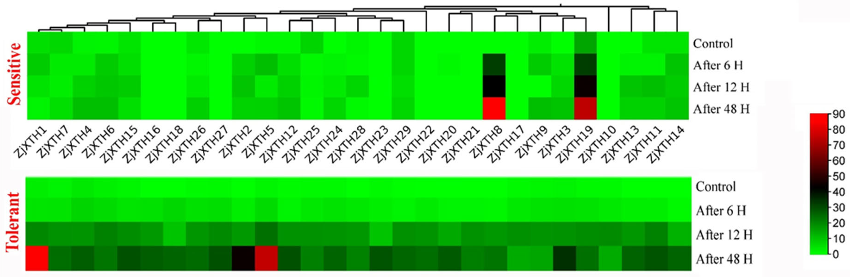 Preprints 139853 g008