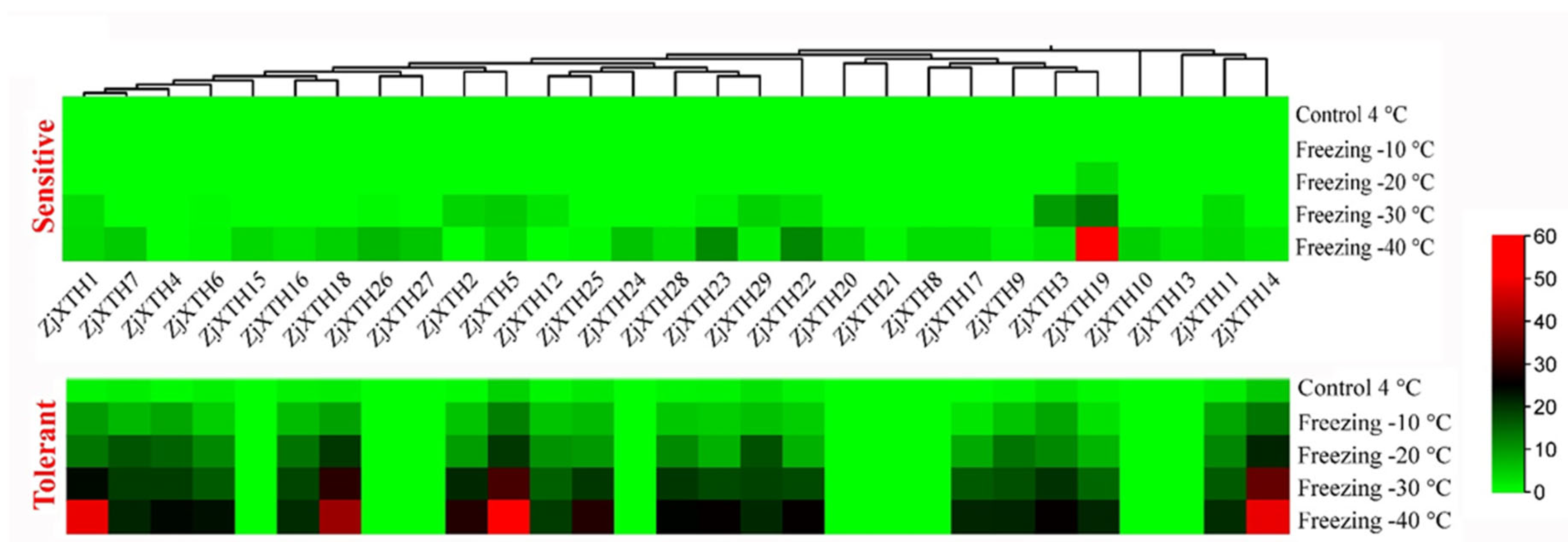 Preprints 139853 g009