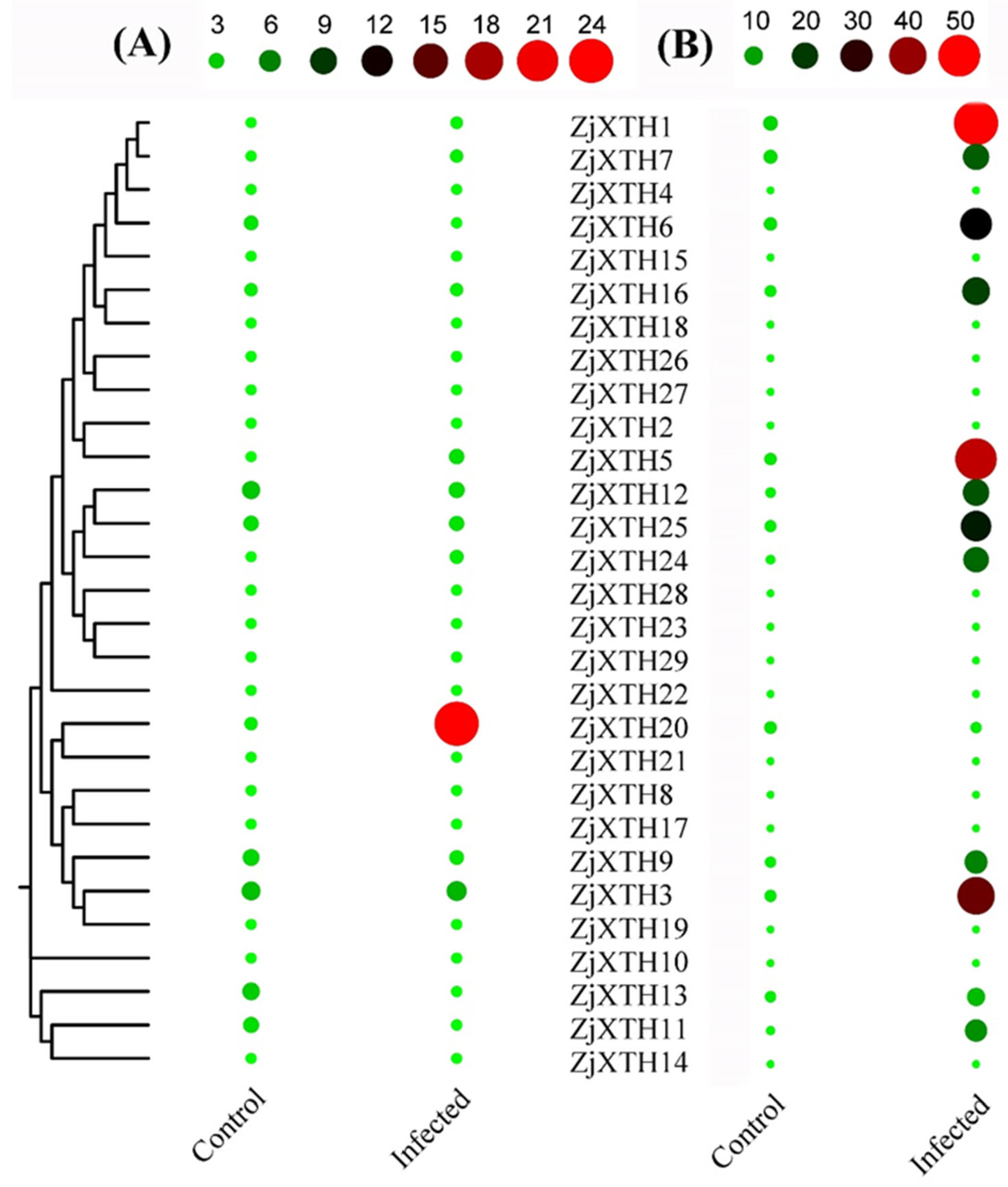 Preprints 139853 g010