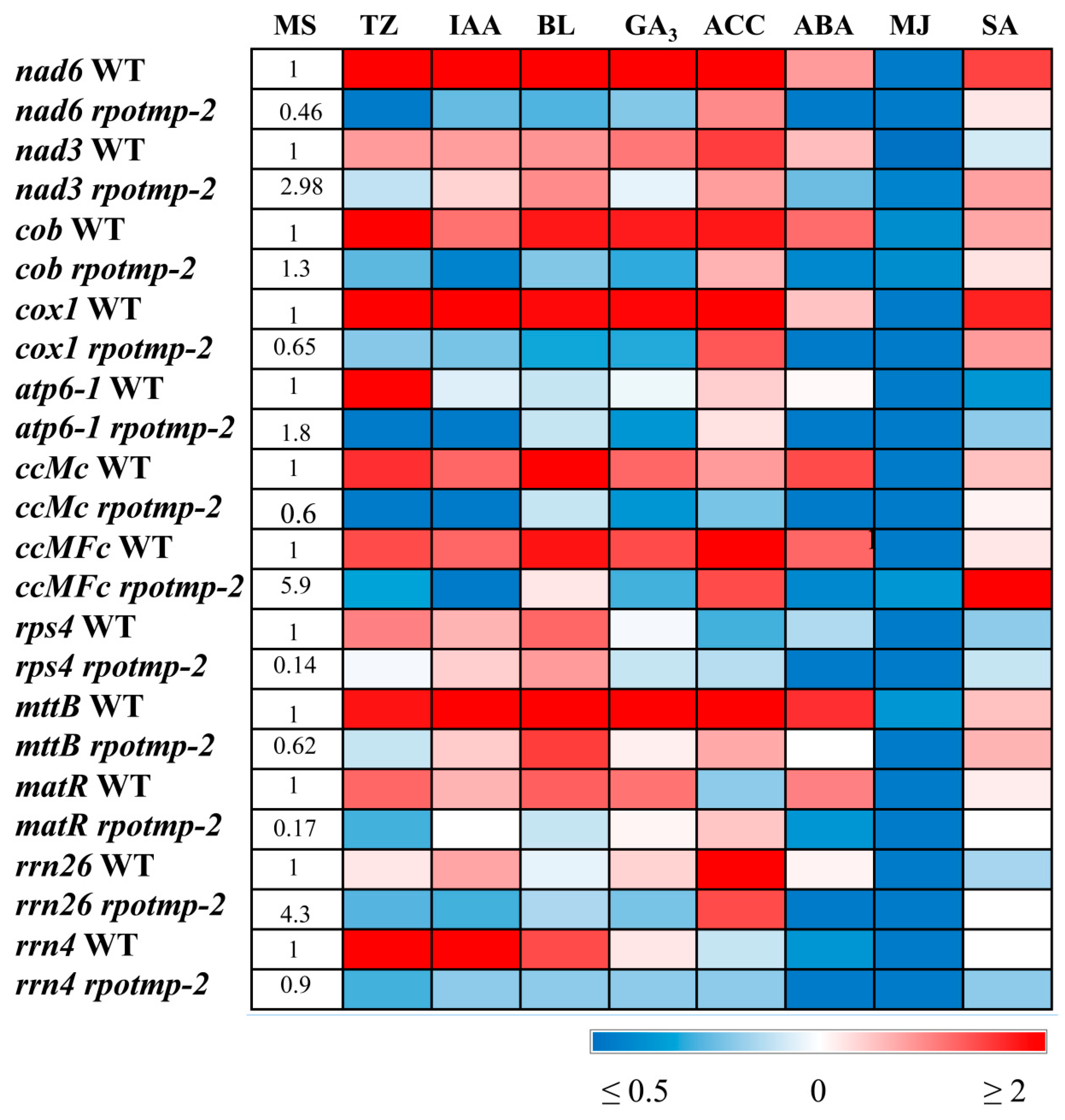 Preprints 89609 g001