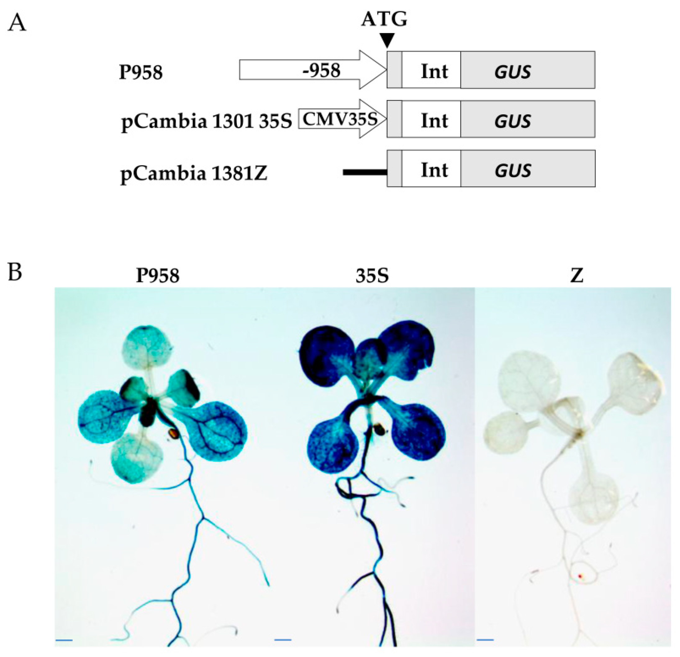 Preprints 89609 g004