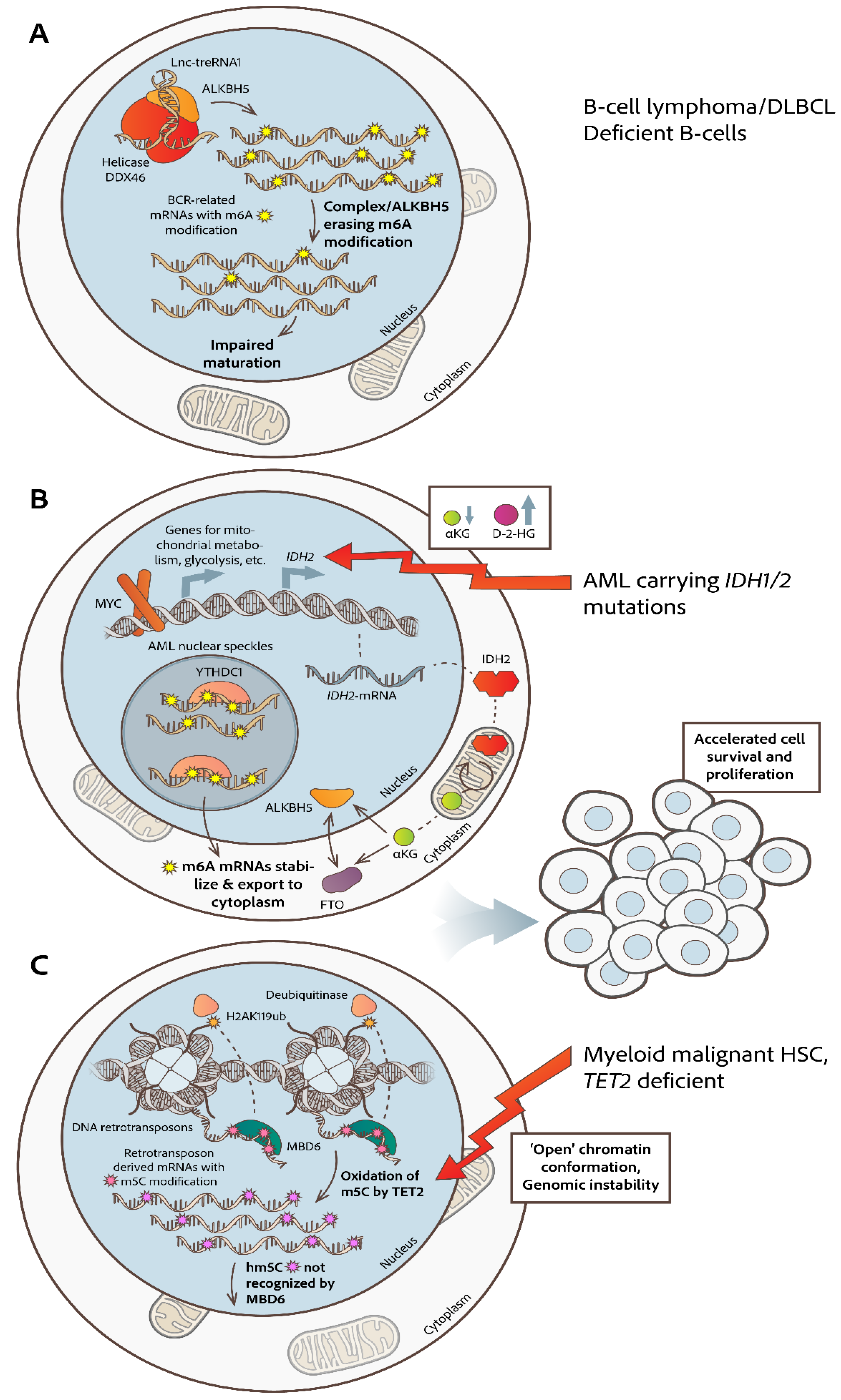 Preprints 168777 g001