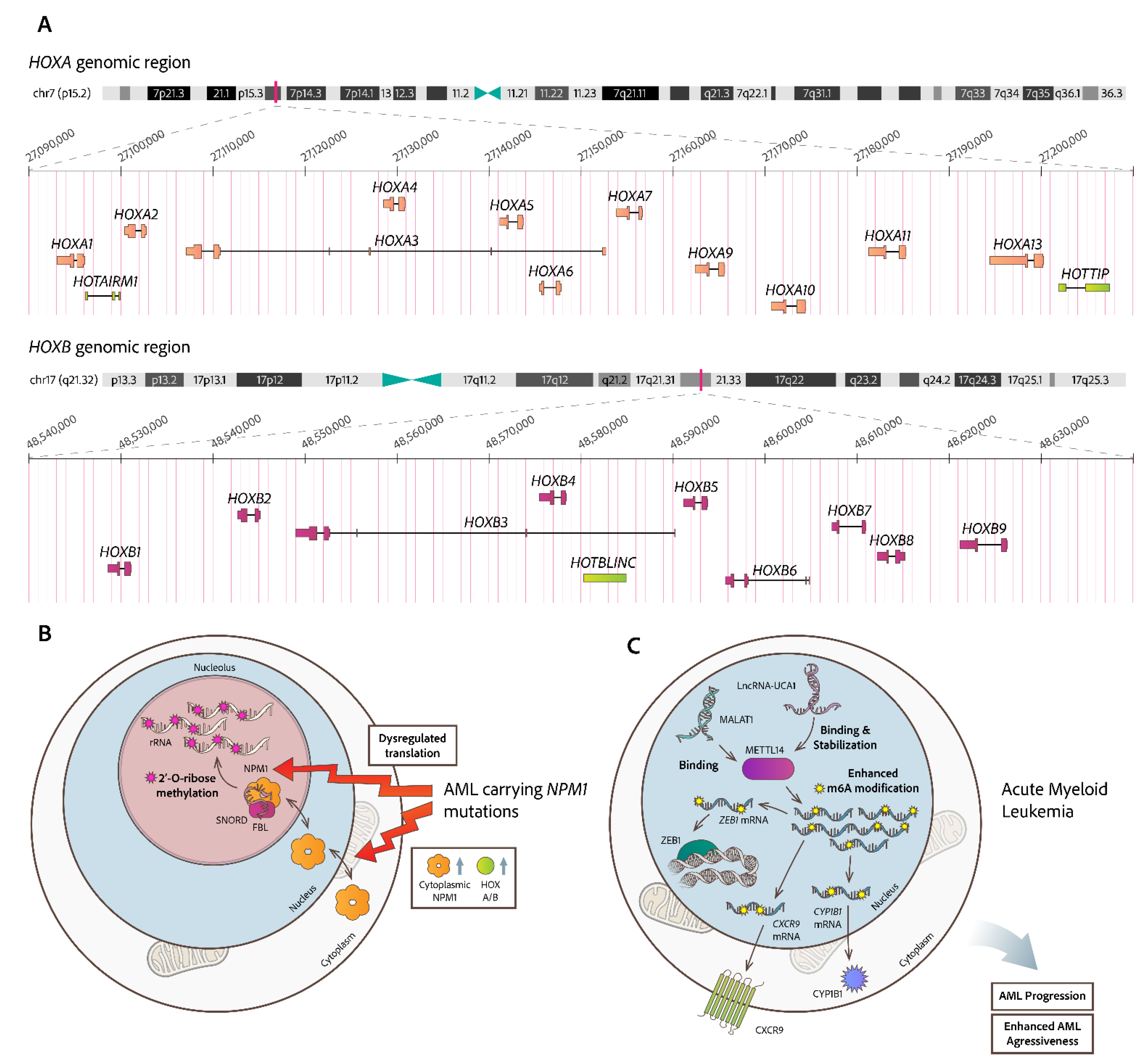 Preprints 168777 g002