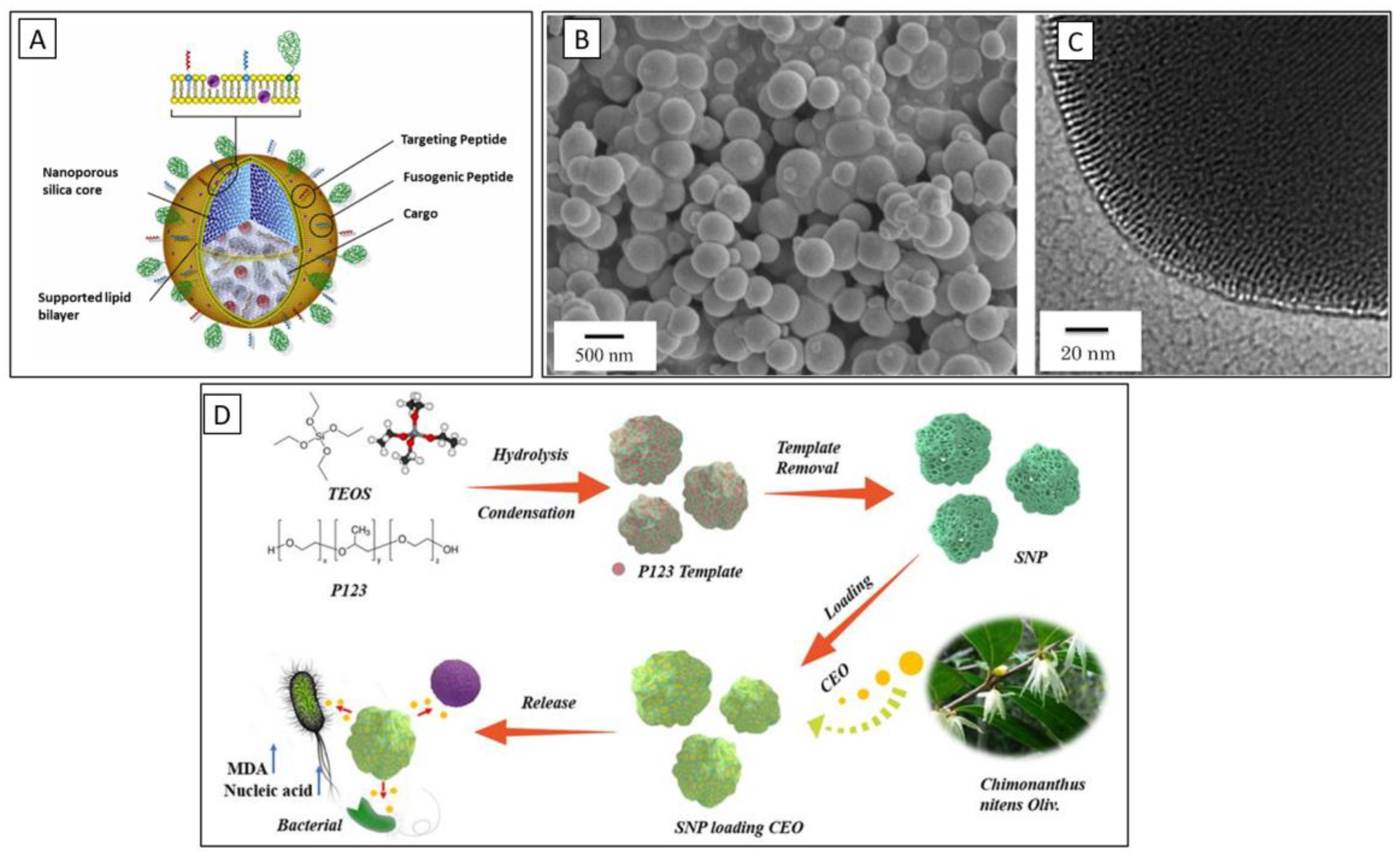 Preprints 162613 g002