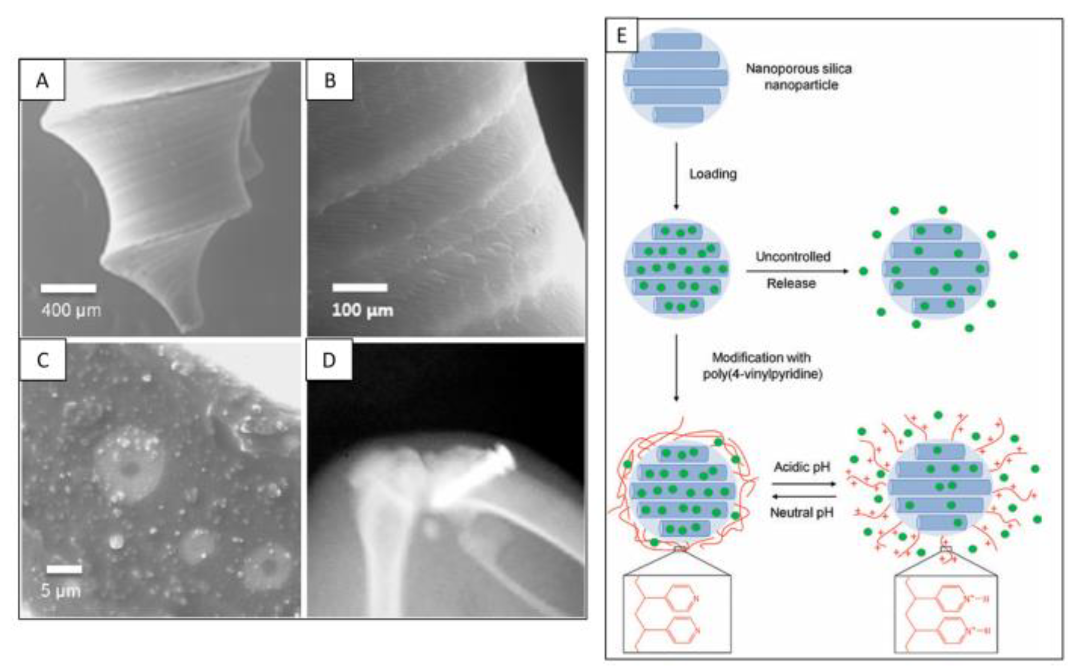 Preprints 162613 g003