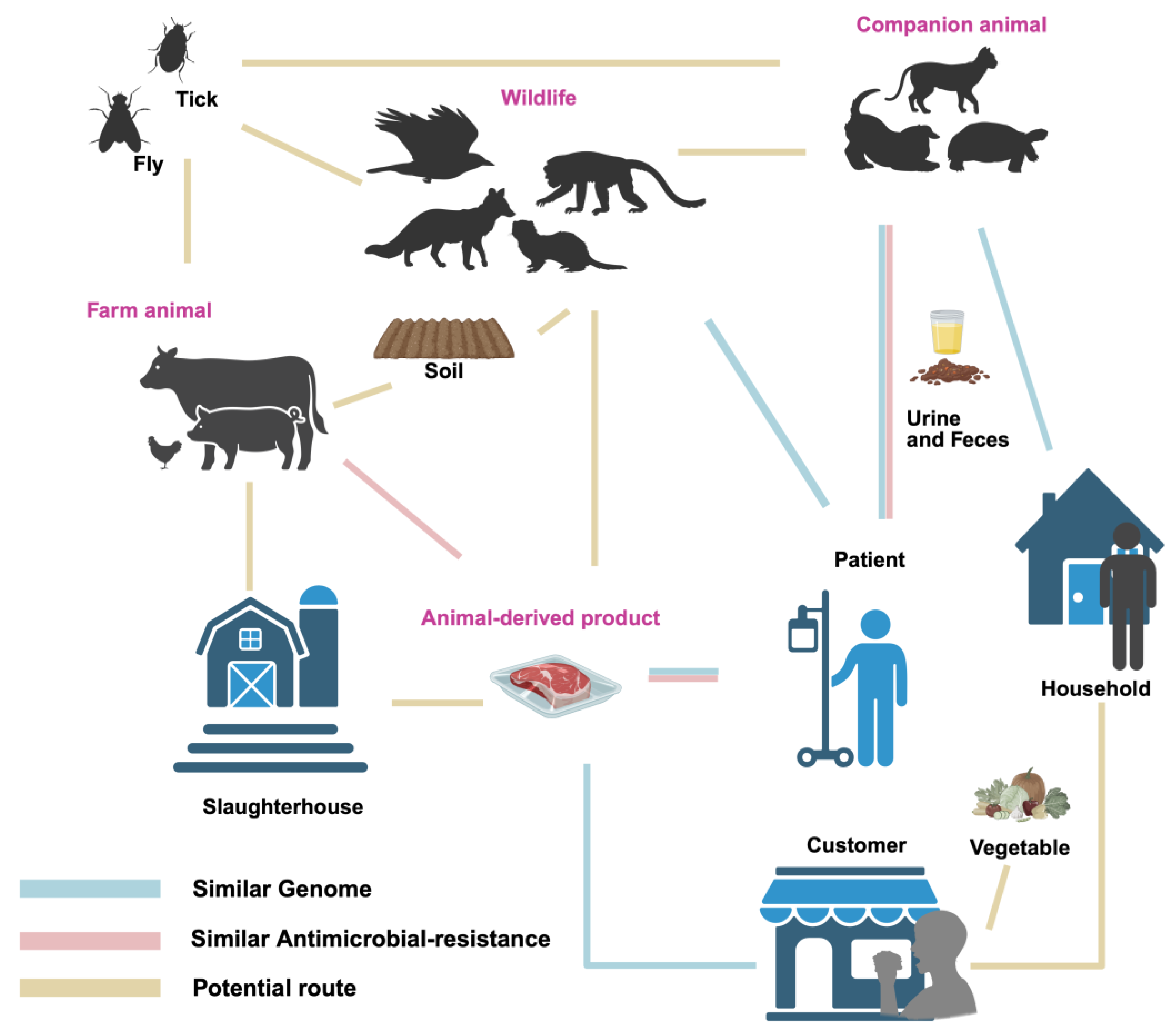 Preprints 167479 g001