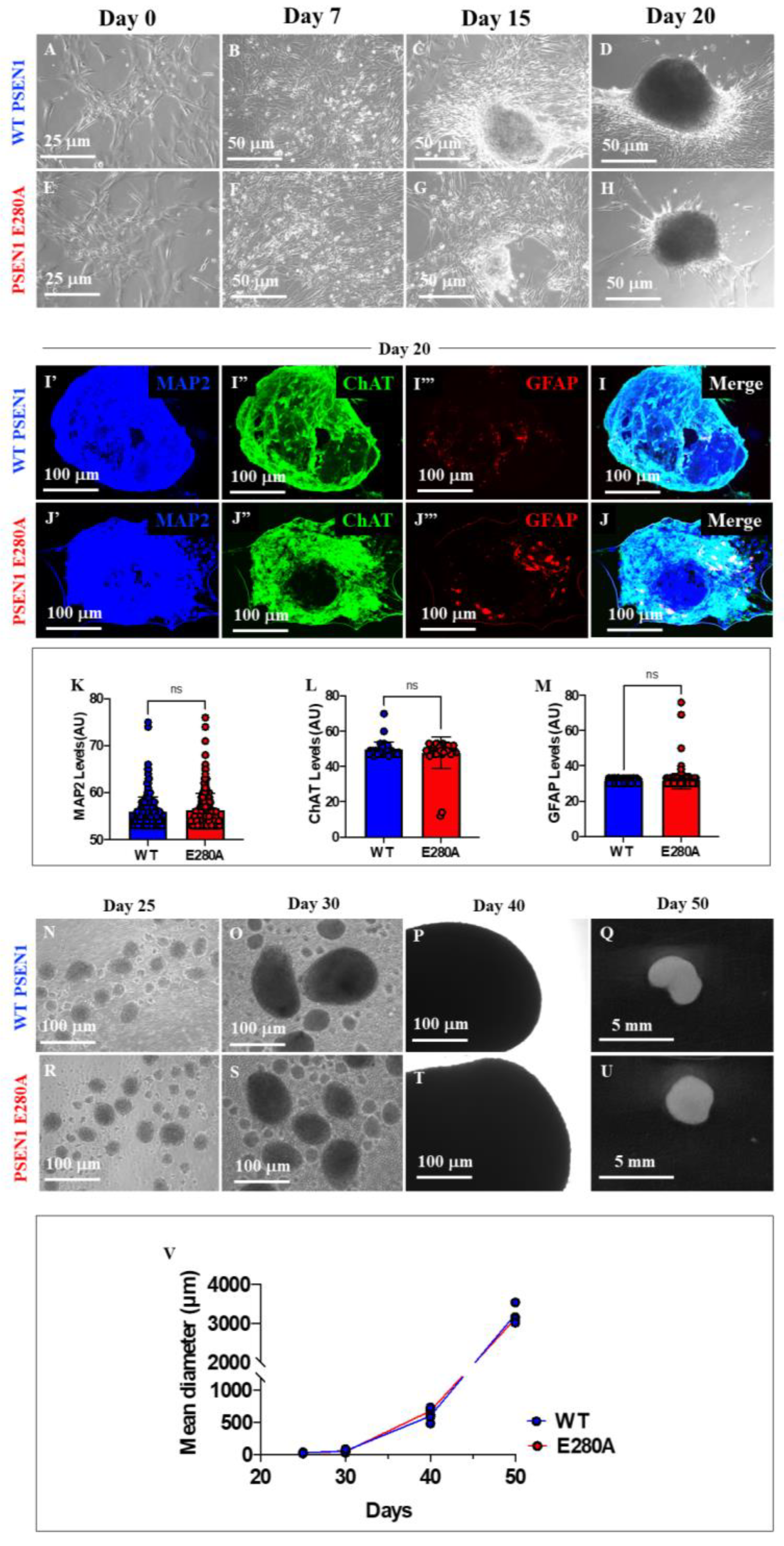 Preprints 186076 g002