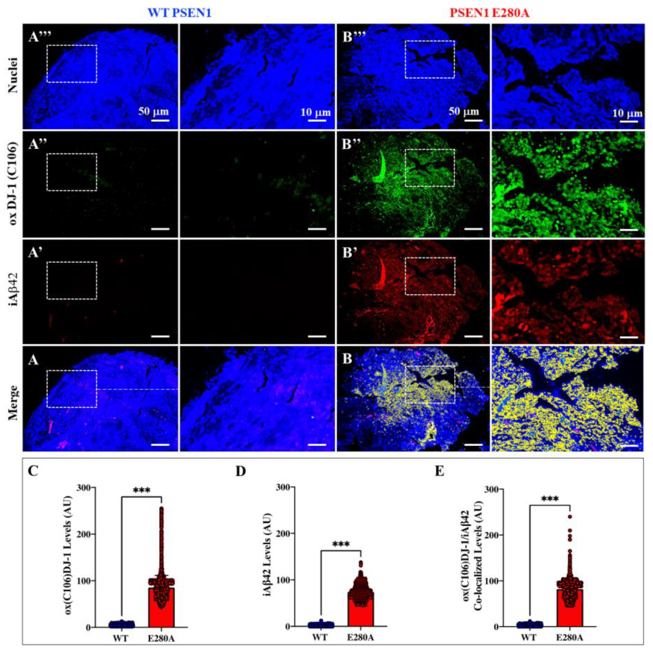 Preprints 186076 g003