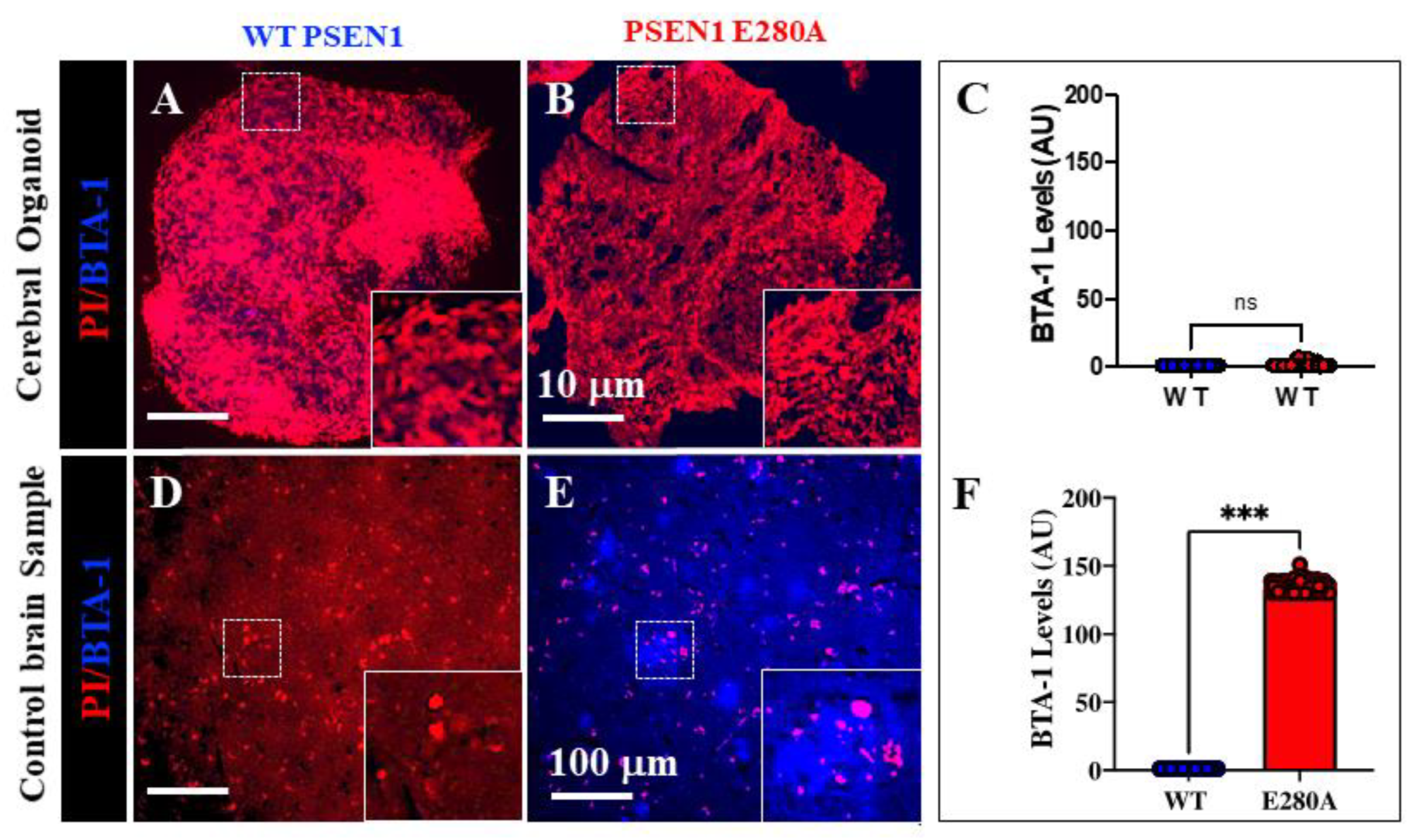Preprints 186076 g004