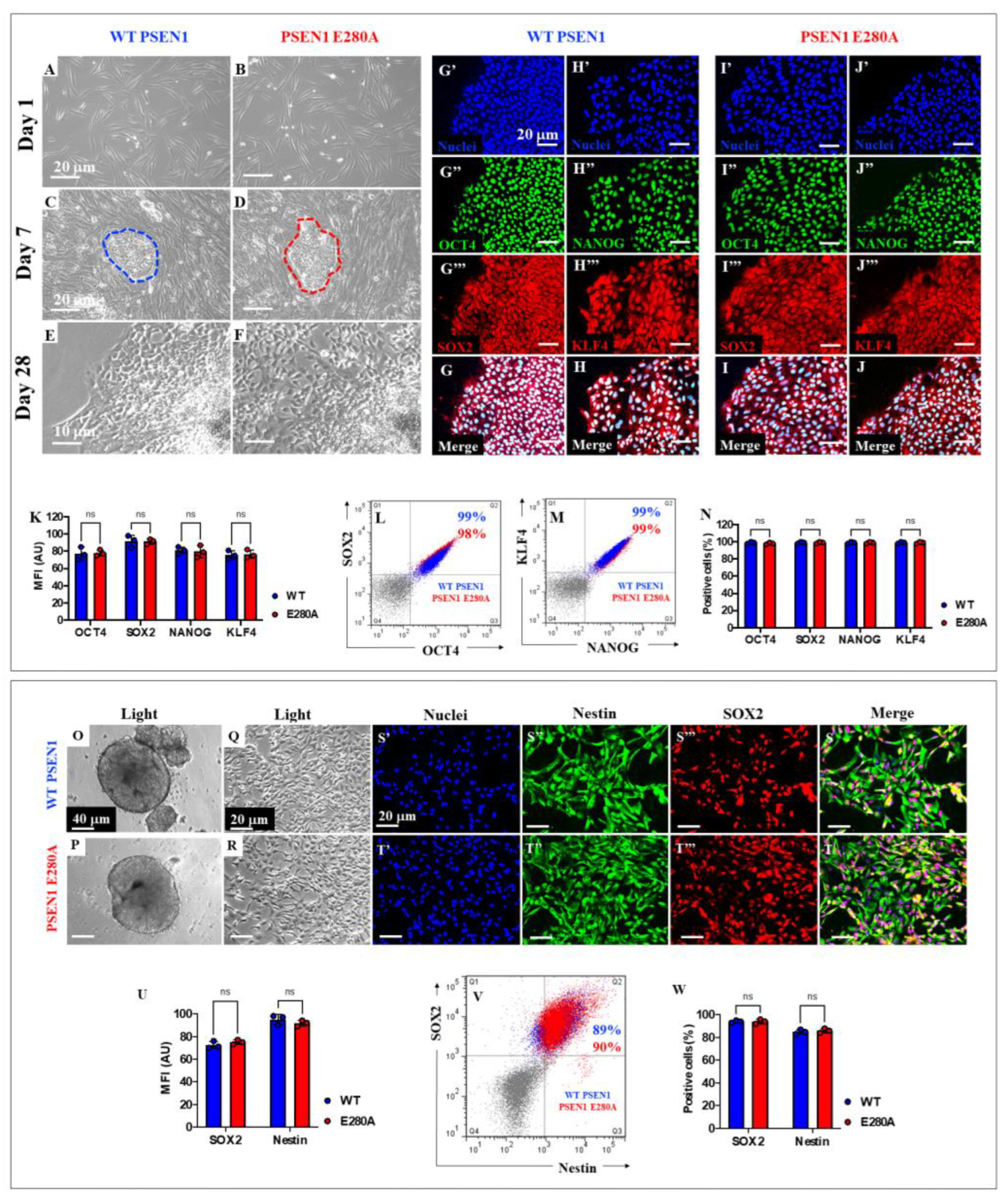 Preprints 186076 g005