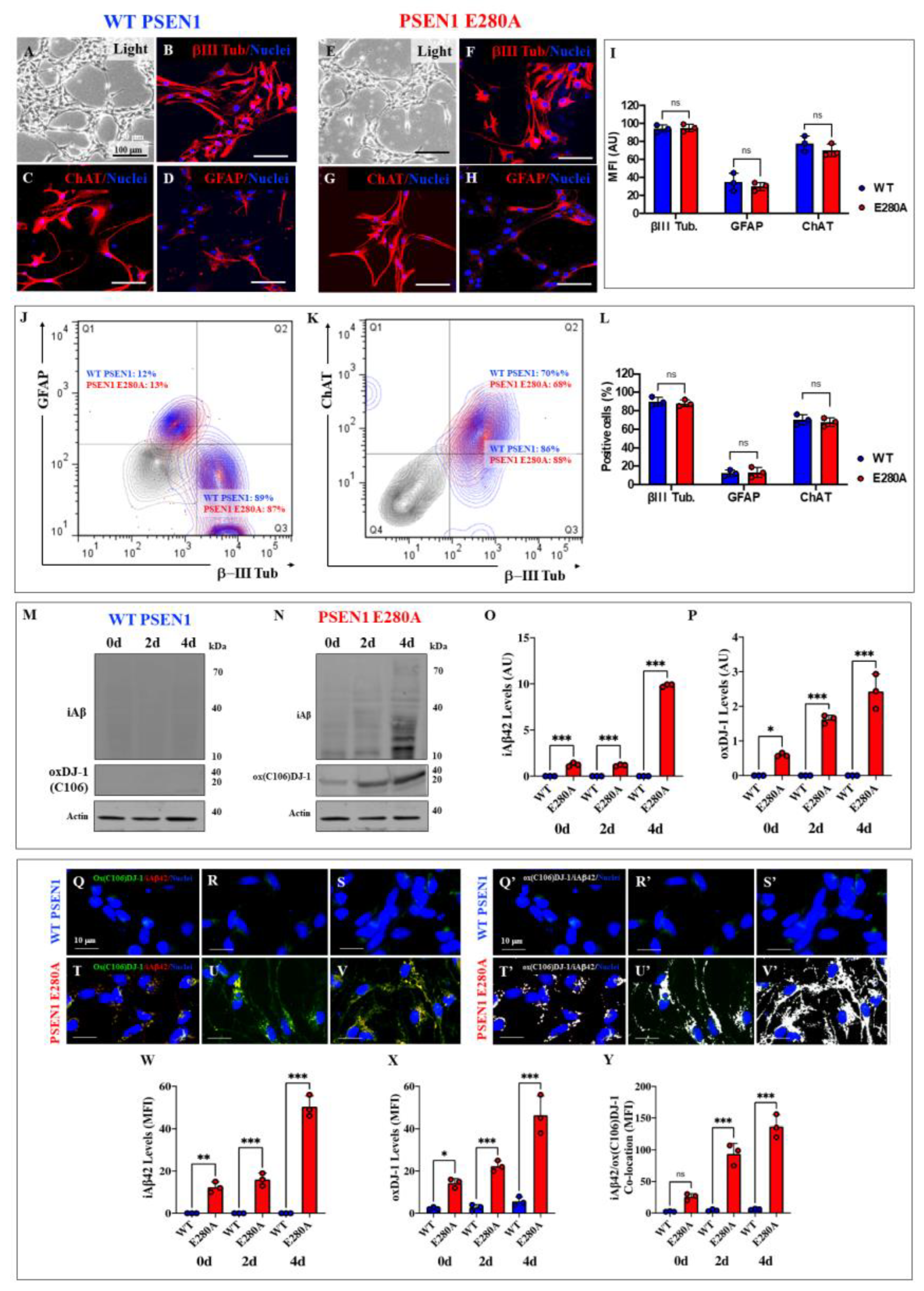 Preprints 186076 g006