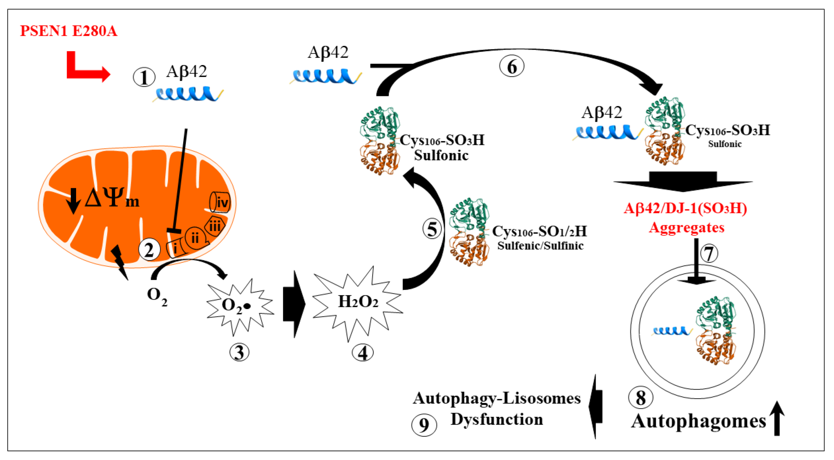 Preprints 186076 g008