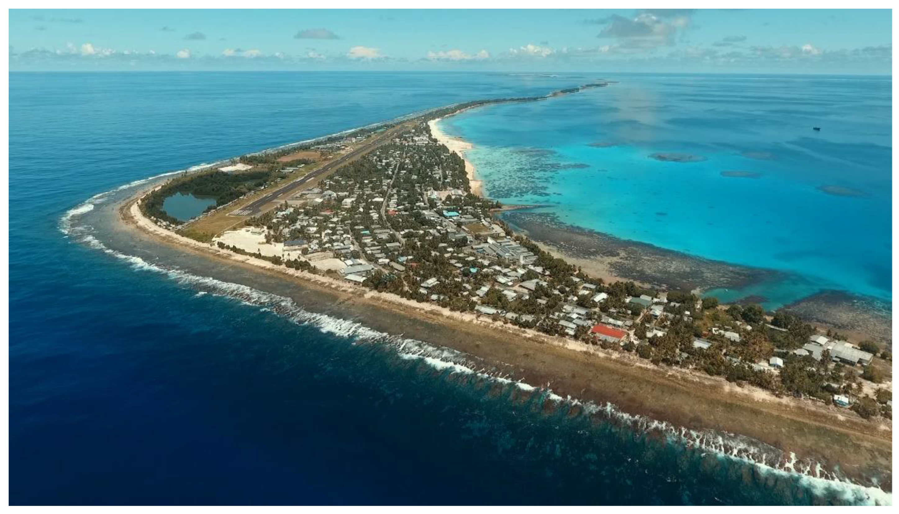 Preprints 111265 g001