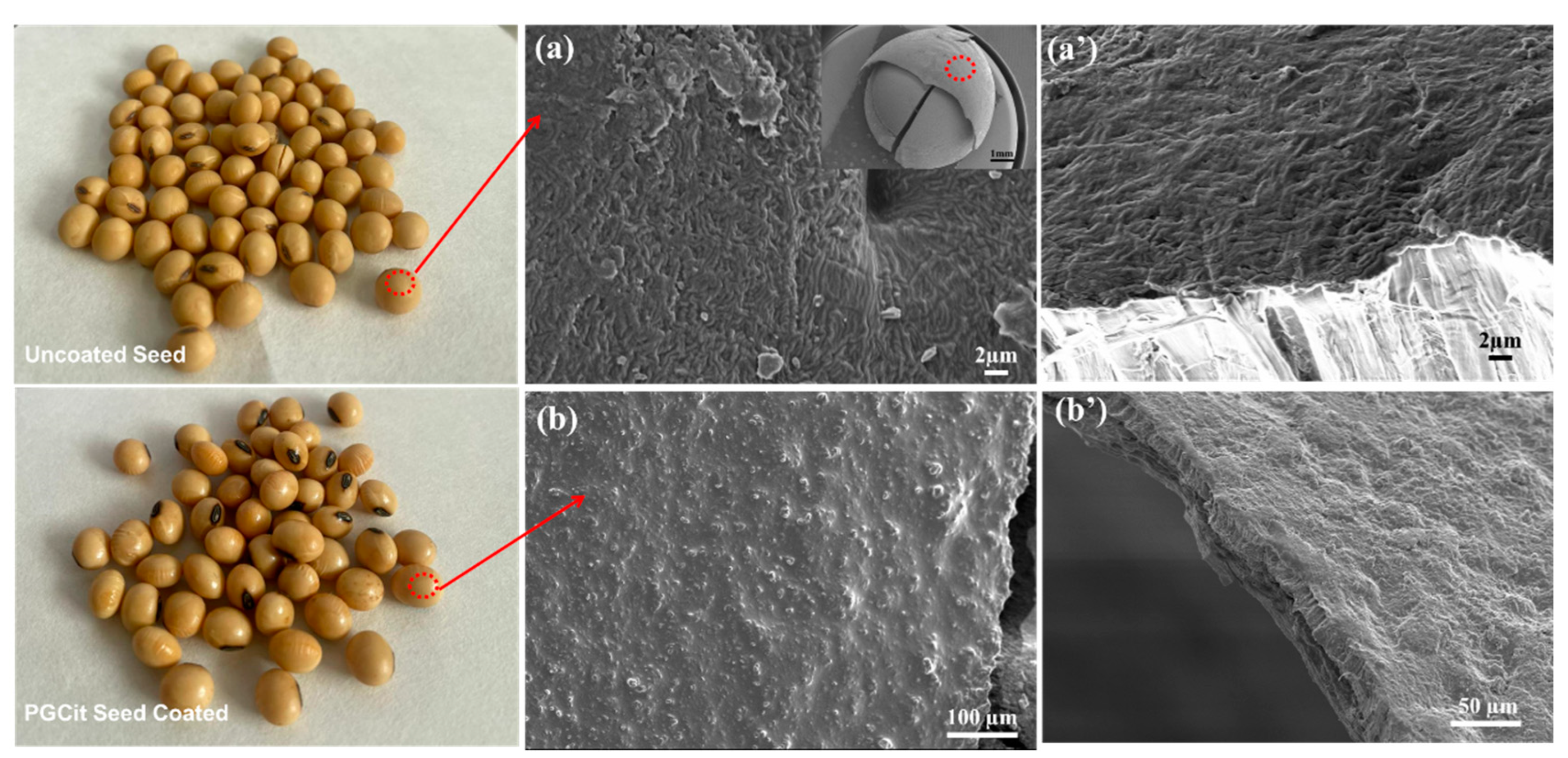 Preprints 81516 g009