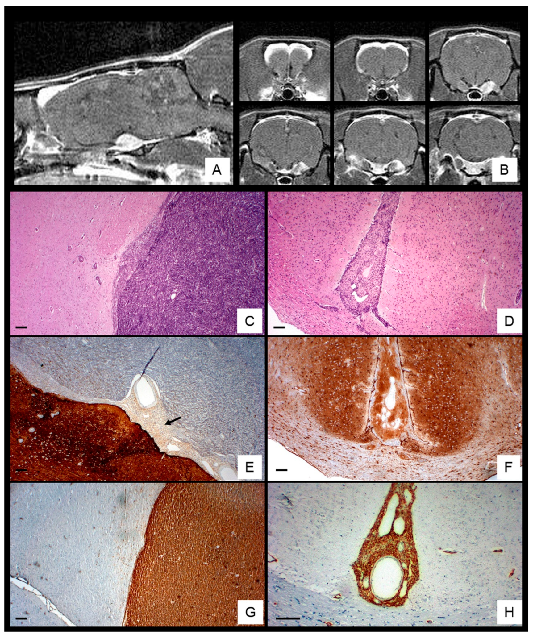 Preprints 183542 g001