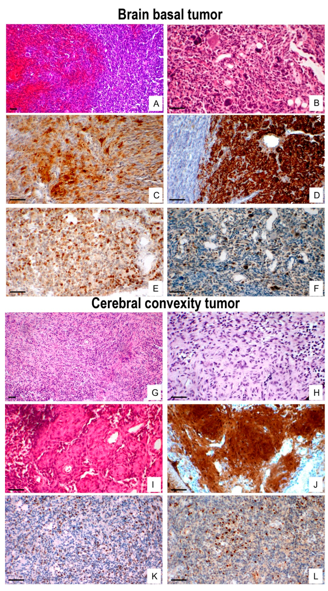Preprints 183542 g002