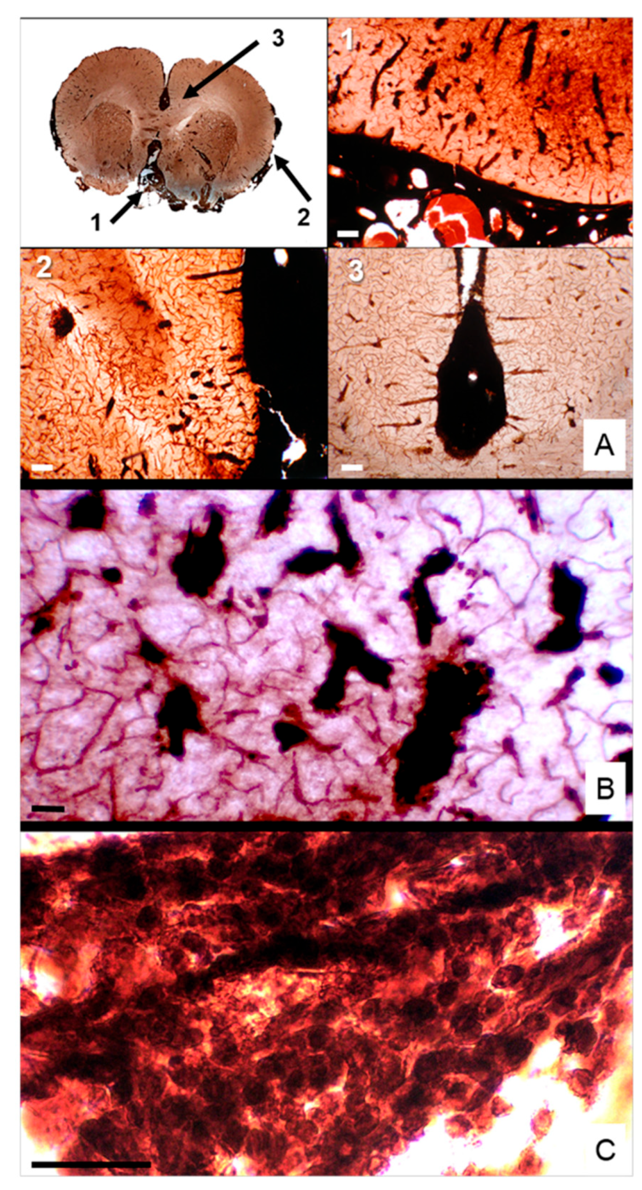 Preprints 183542 g003