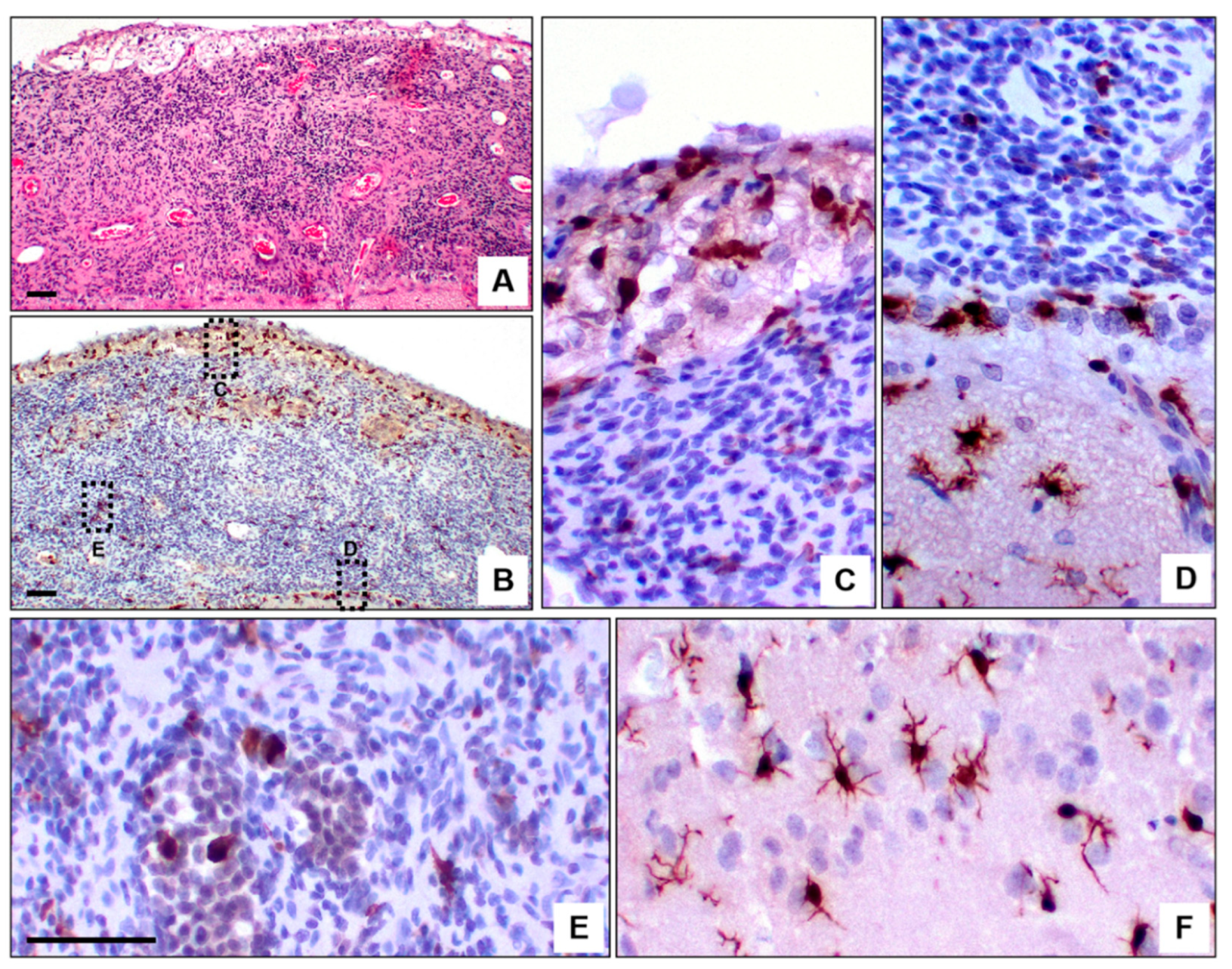Preprints 183542 g004