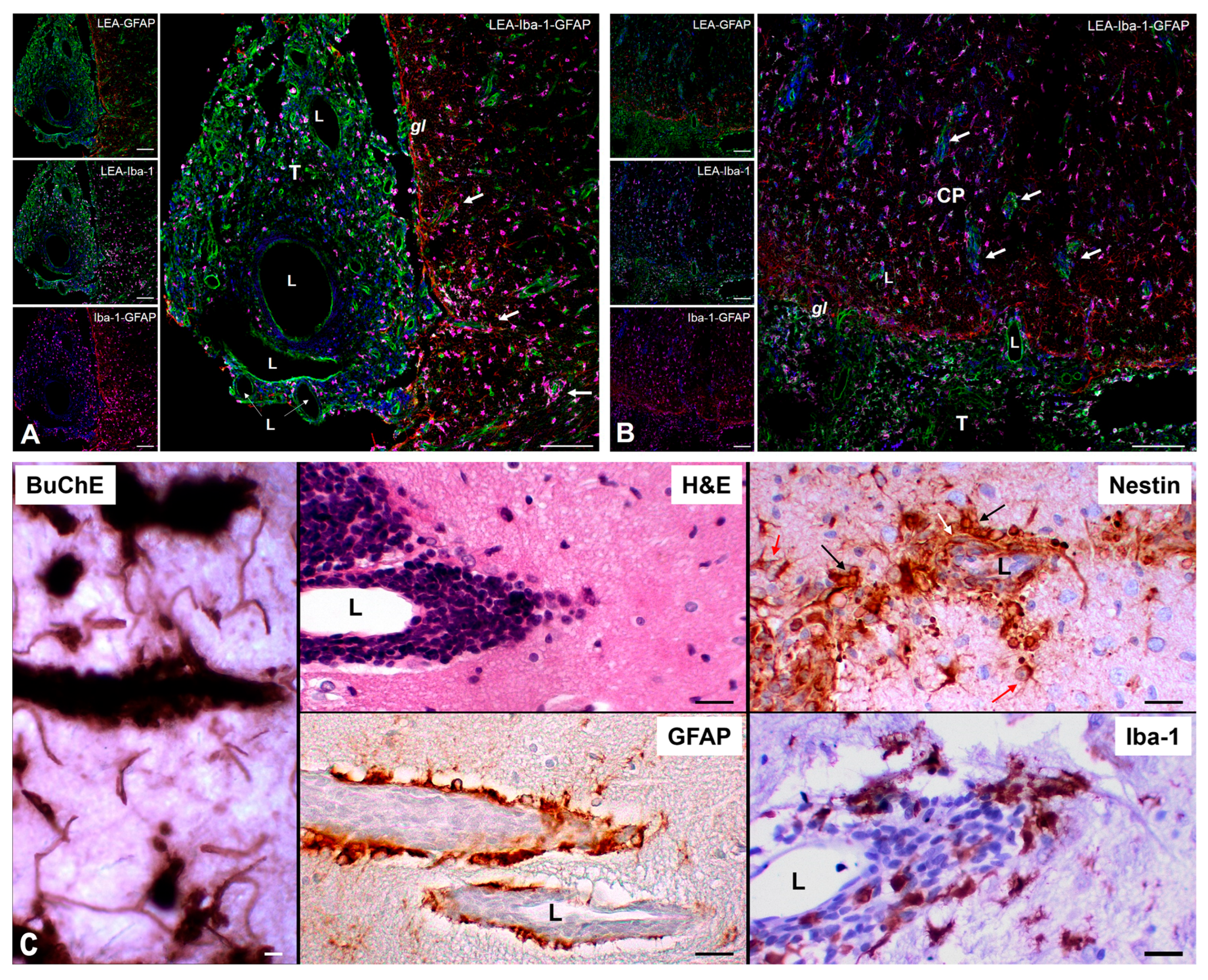 Preprints 183542 g005