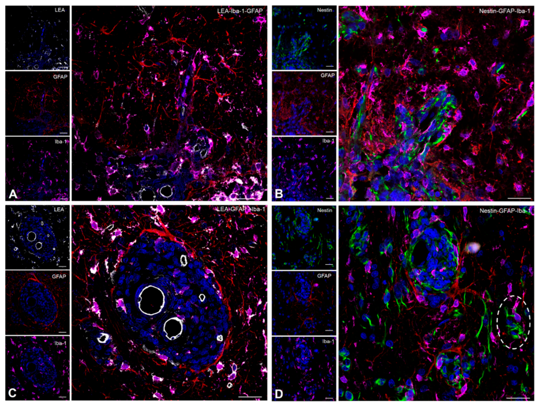 Preprints 183542 g006