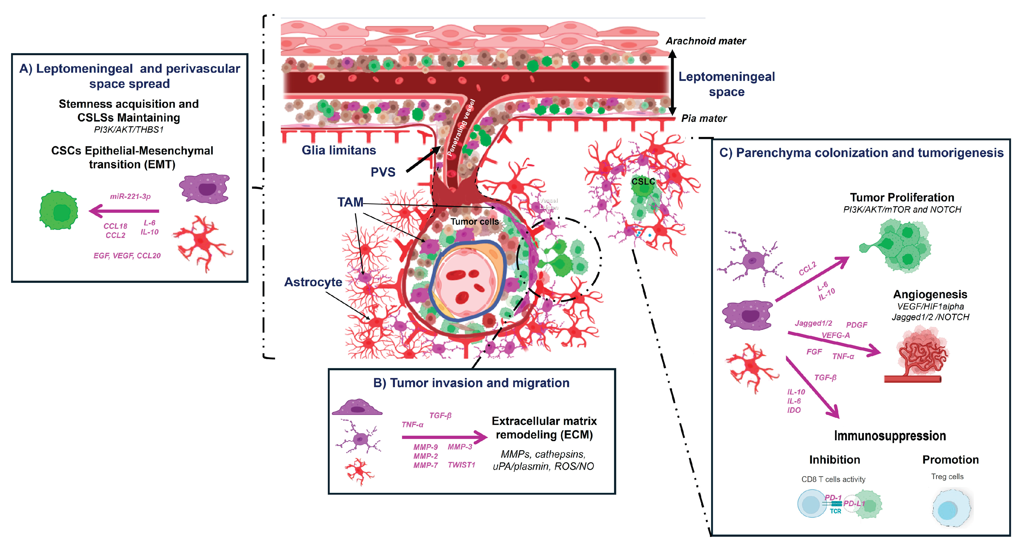 Preprints 183542 g007