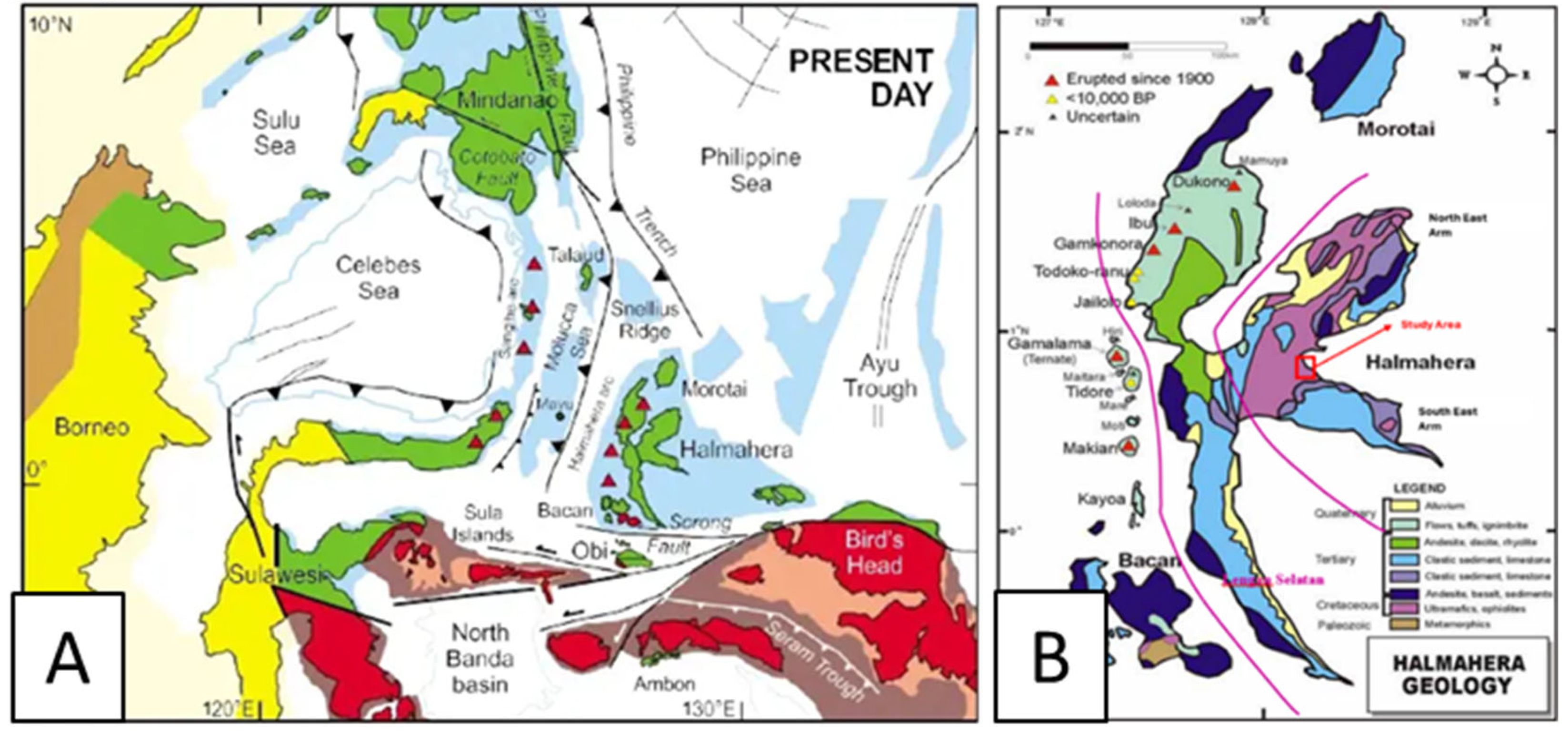 Preprints 189965 g001a