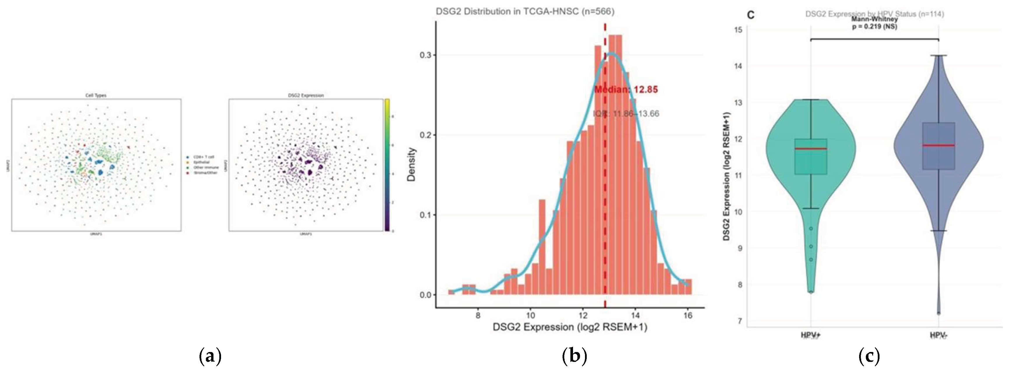 Preprints 219429 g001
