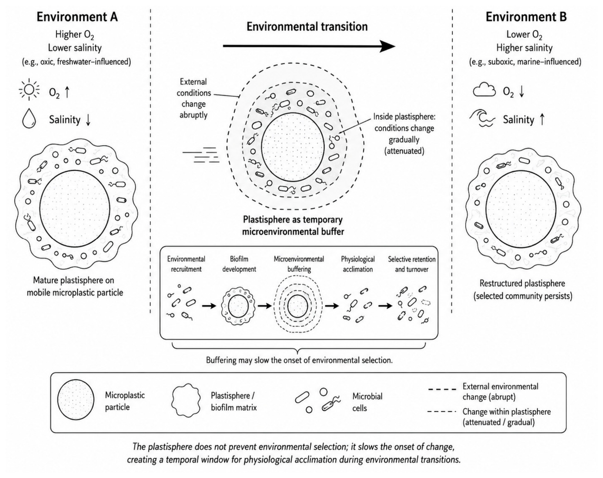 Preprints 232232 g002