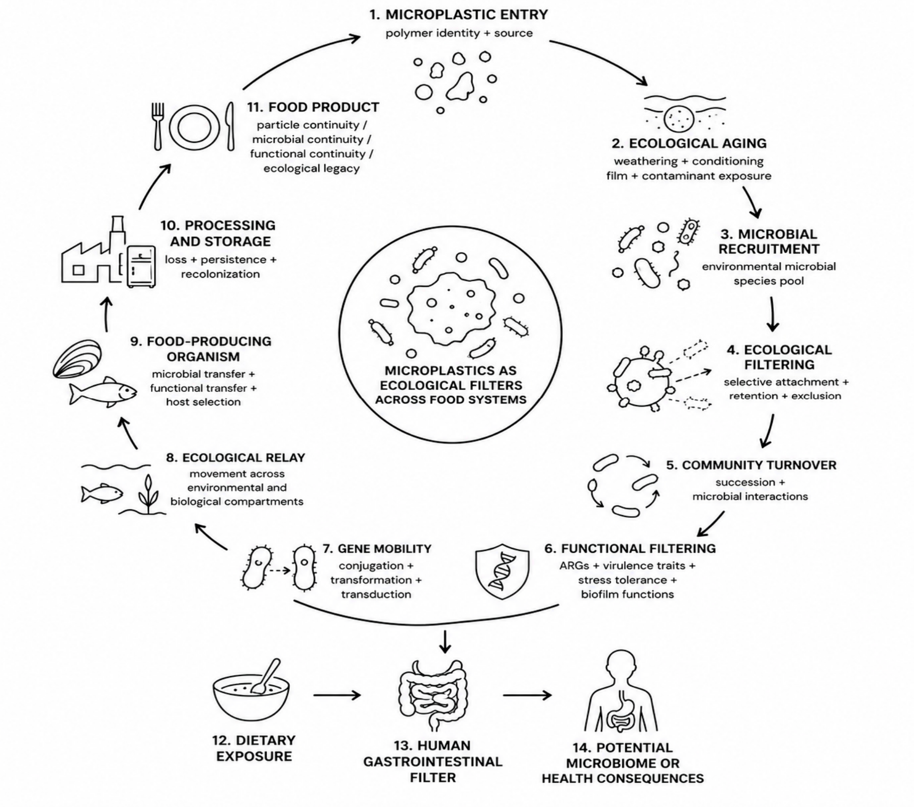 Preprints 232232 g005