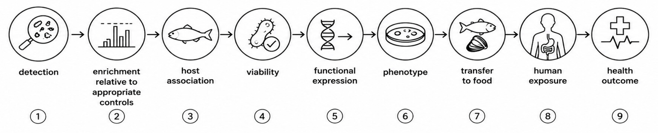 Preprints 232232 g006