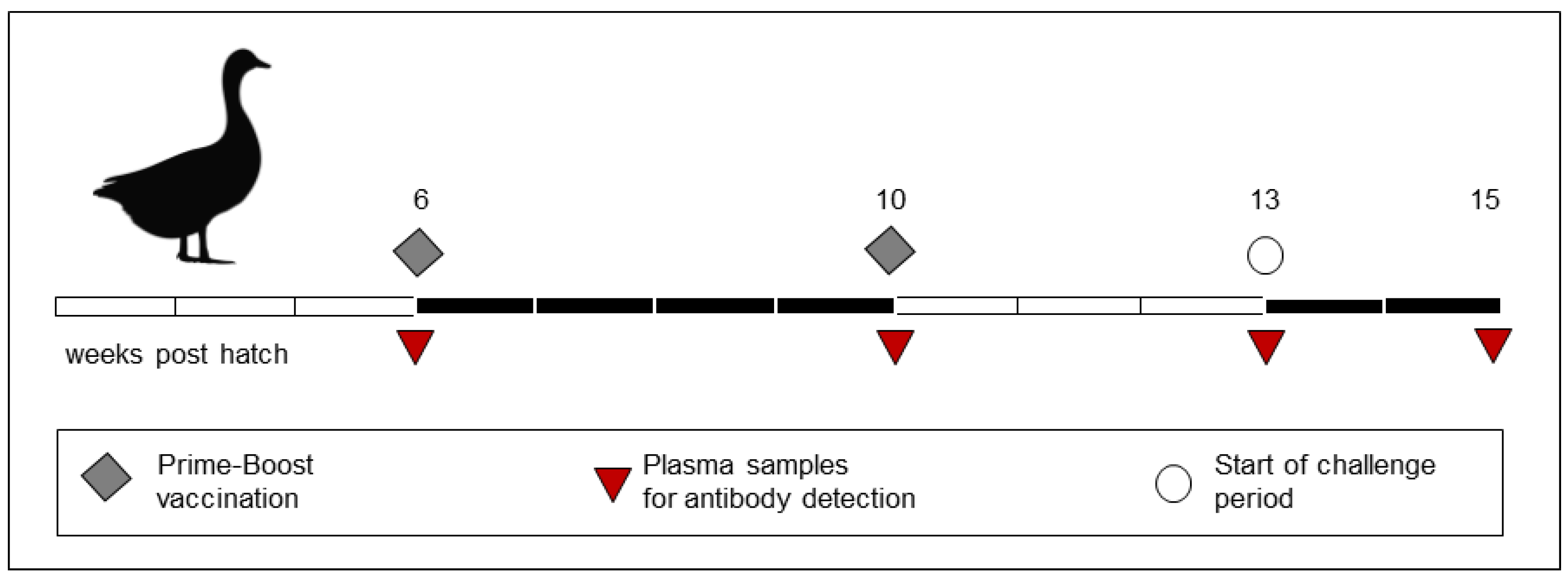 Preprints 151841 g001