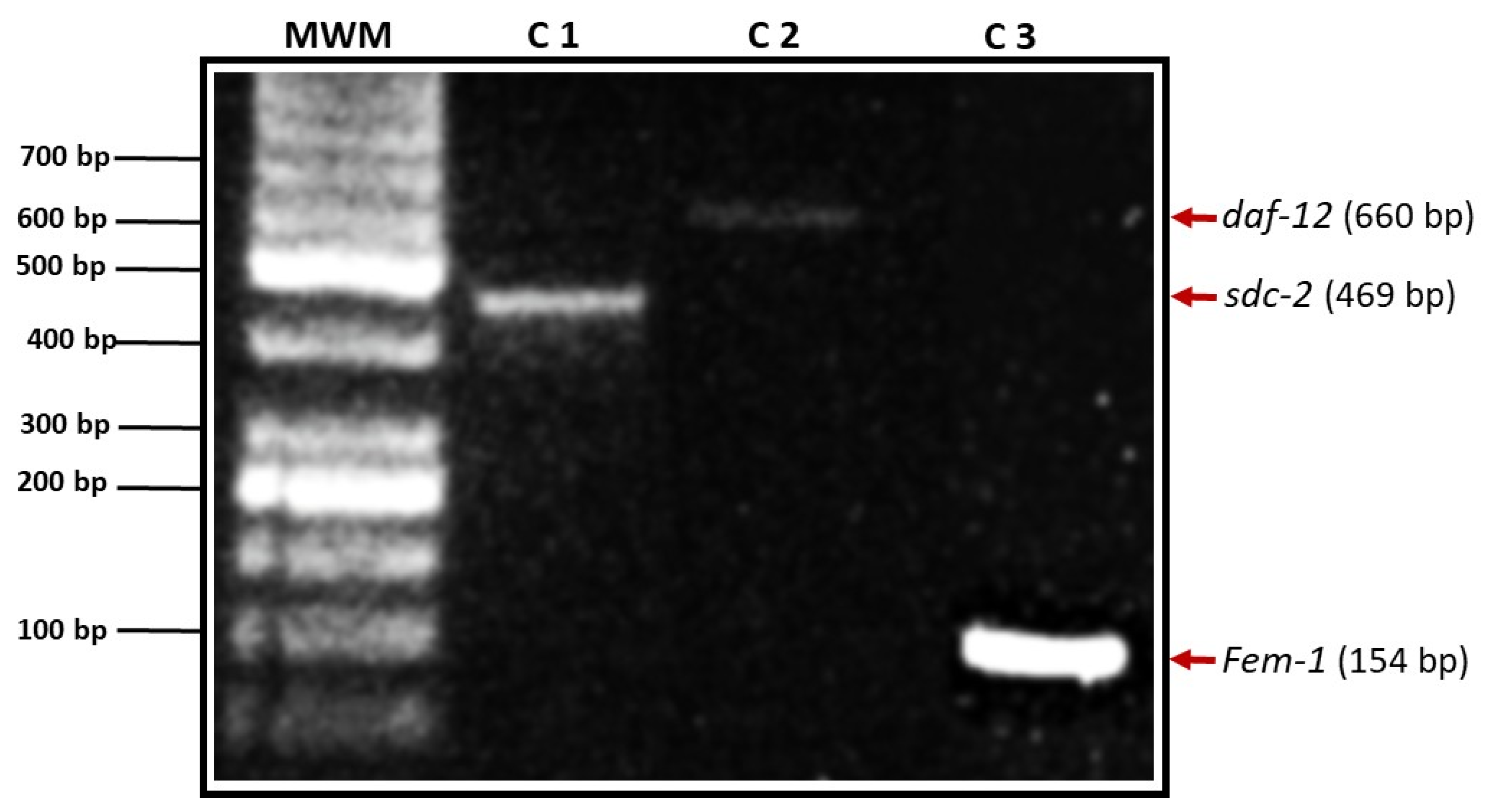 Preprints 181216 g001