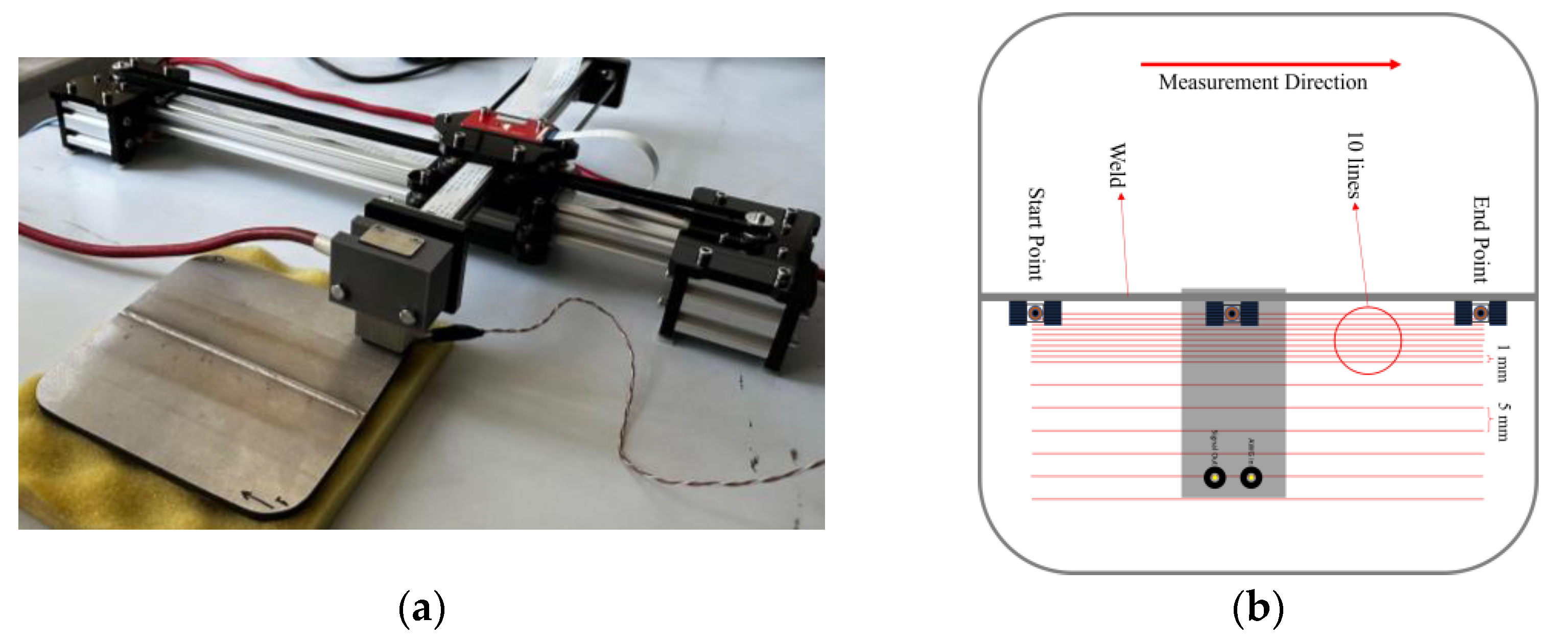 Preprints 150788 g005