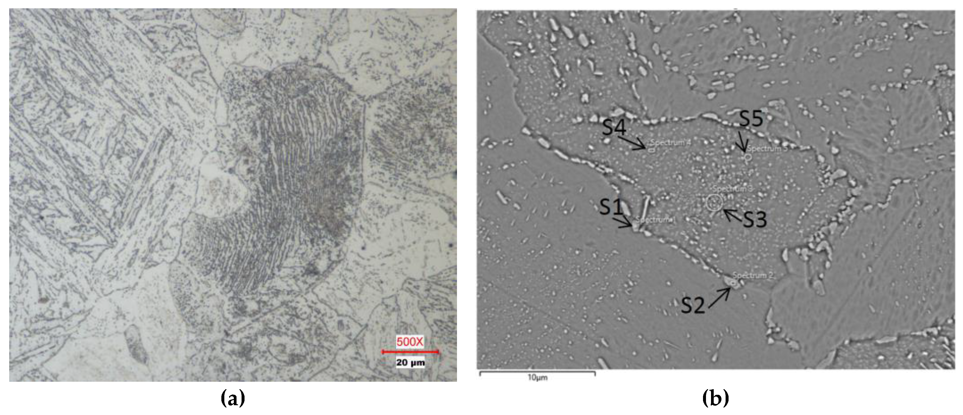 Preprints 150788 g010