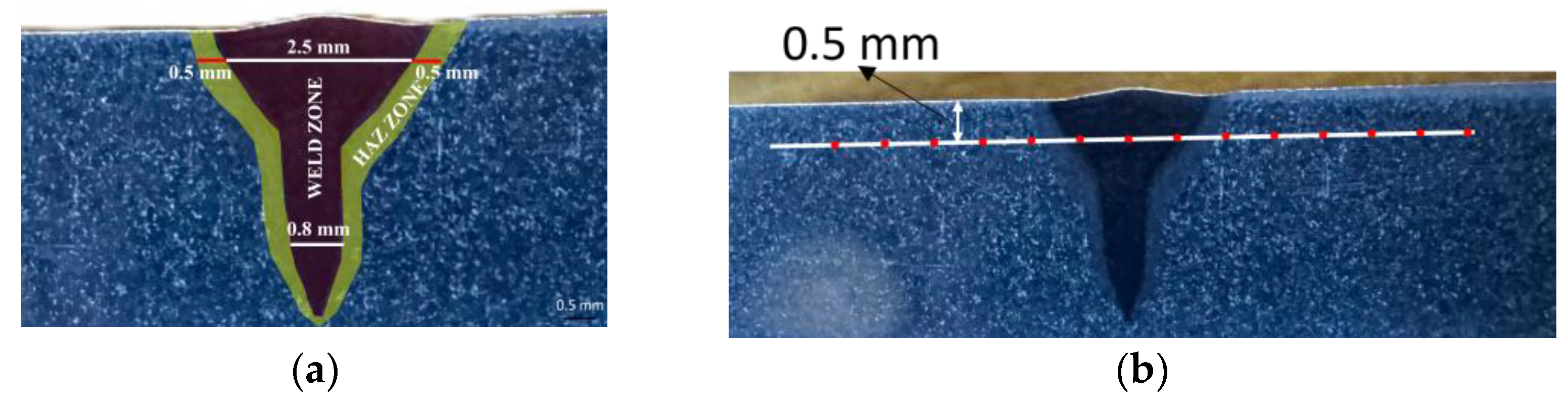 Preprints 150788 g012