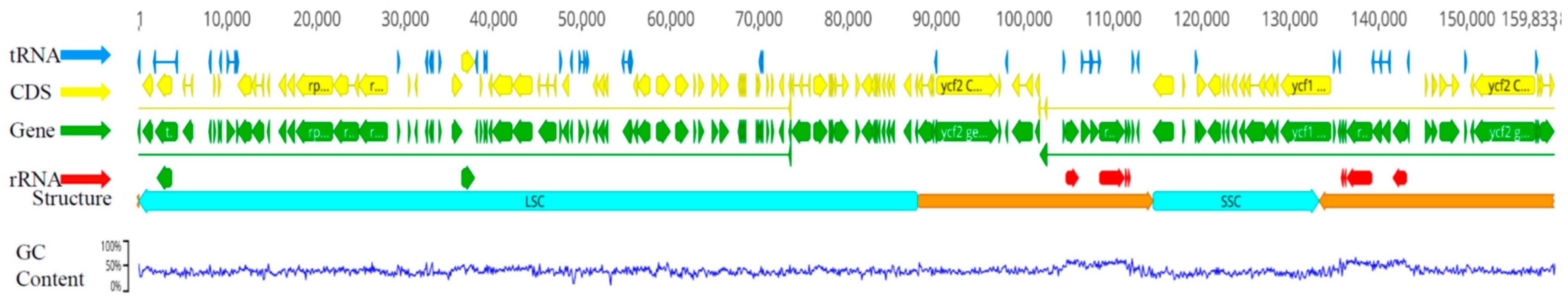 Preprints 95388 g001