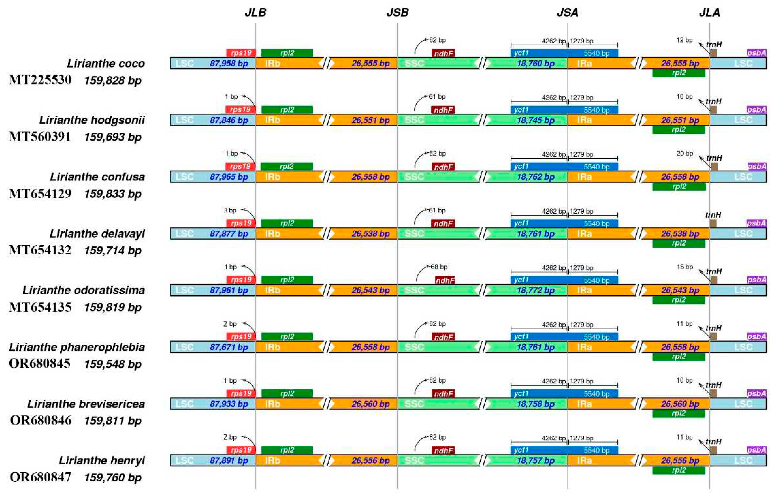 Preprints 95388 g004