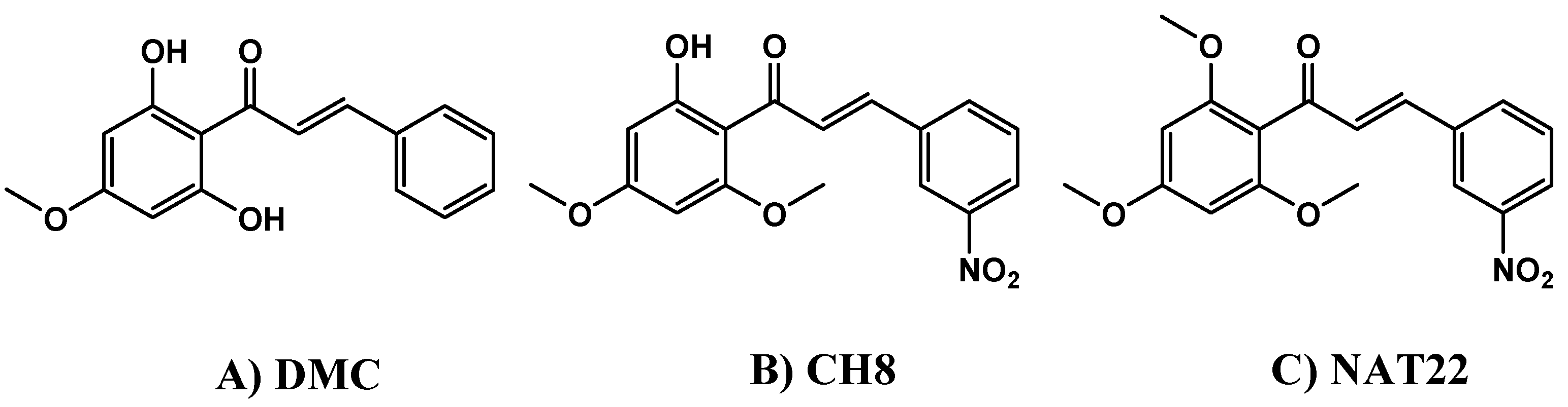 Preprints 200981 g001
