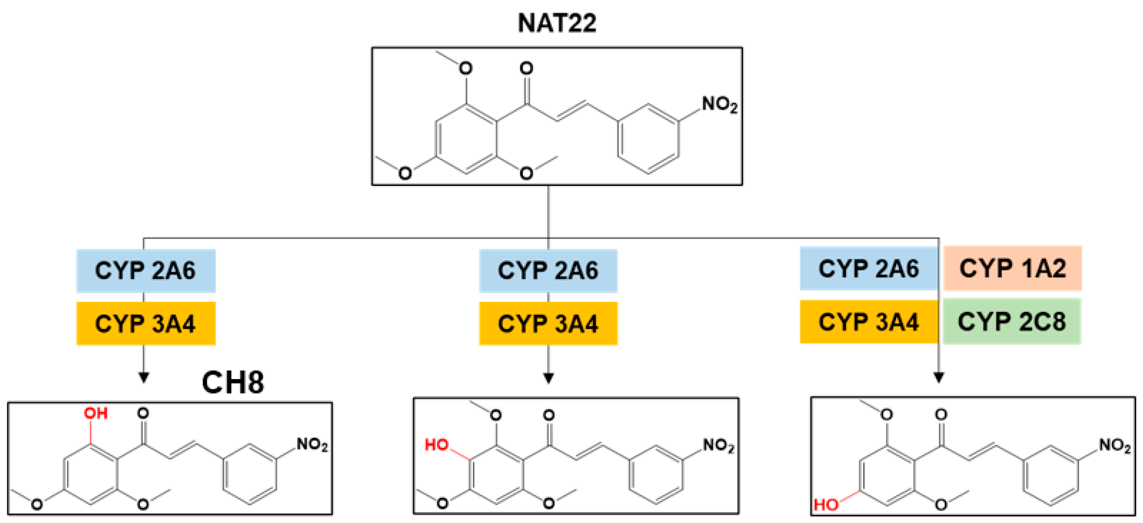 Preprints 200981 g002