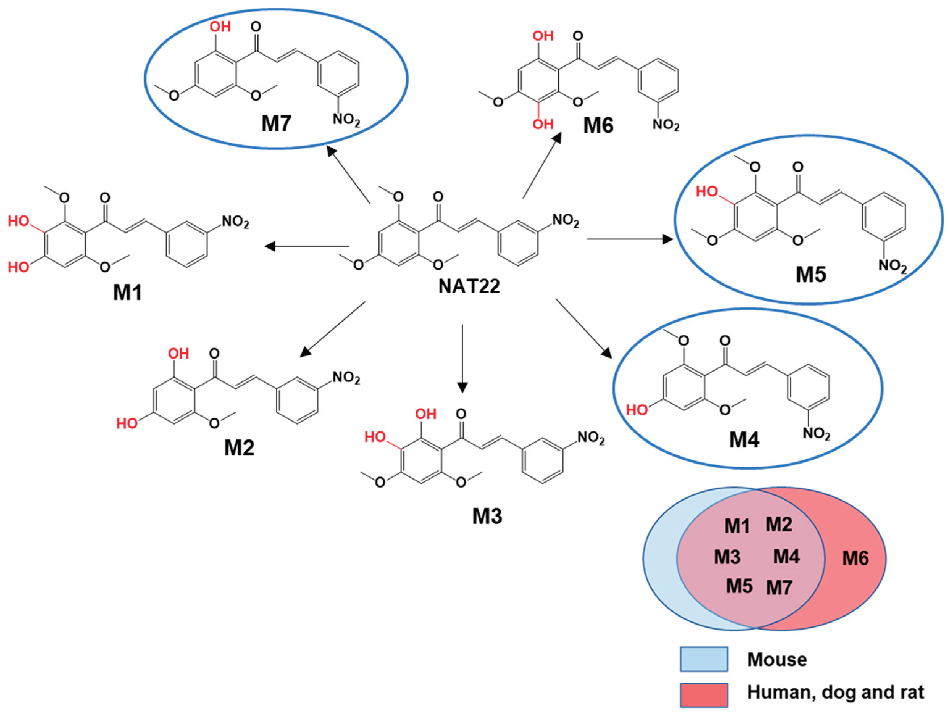 Preprints 200981 g007