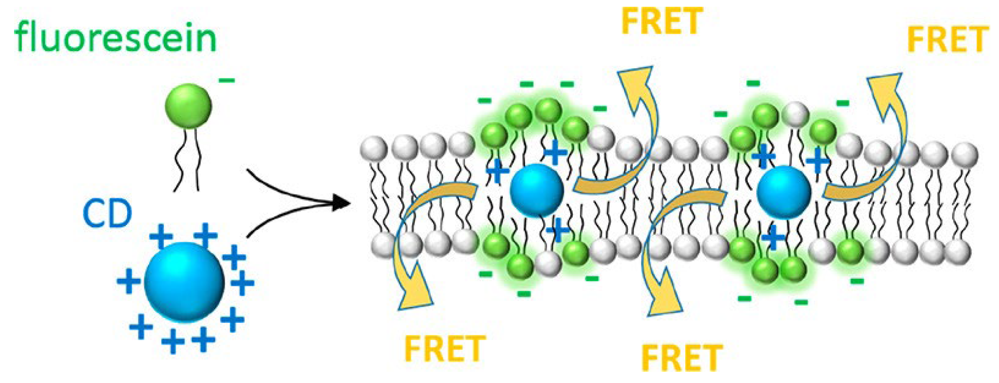 Preprints 189493 g004