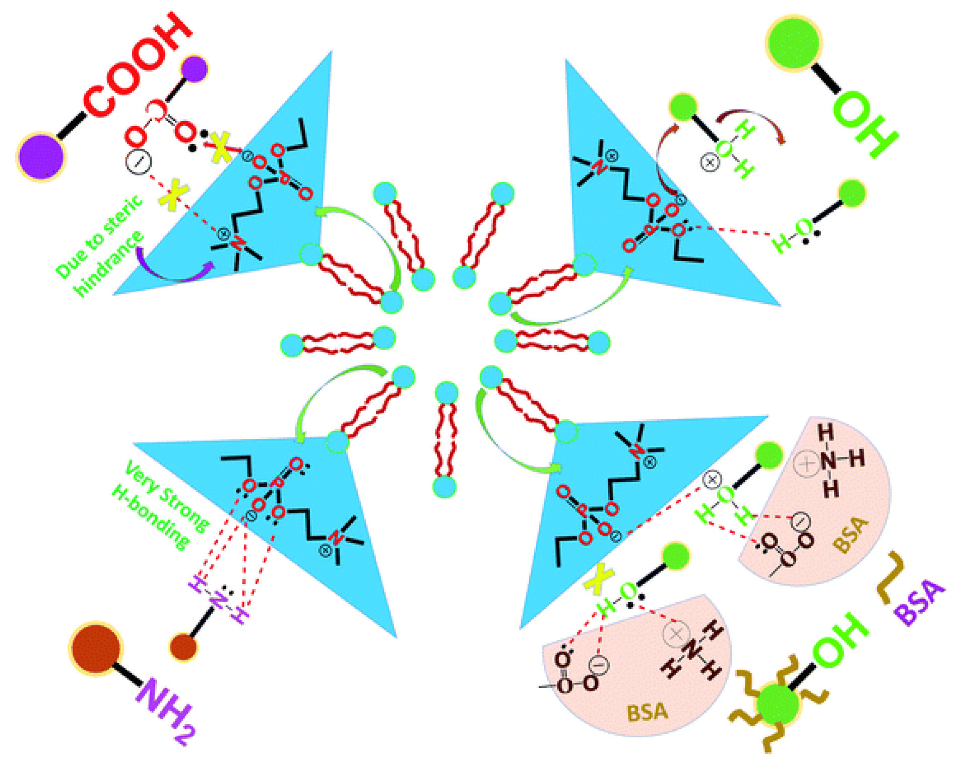 Preprints 189493 g007